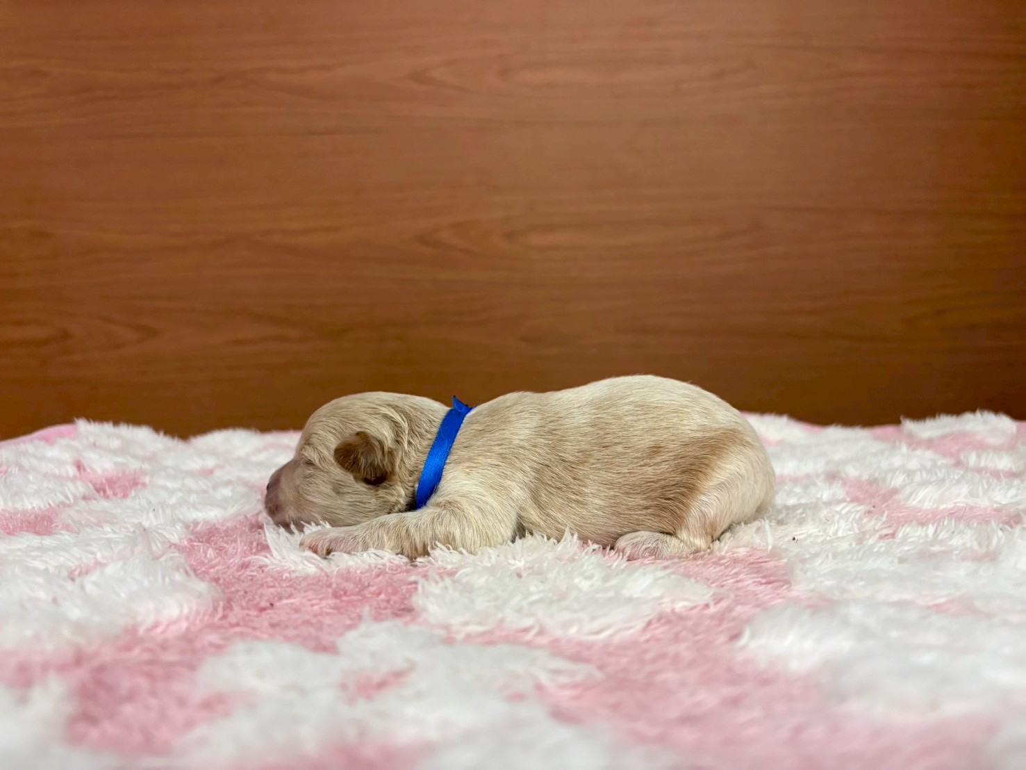 赤ちゃん写真1-2