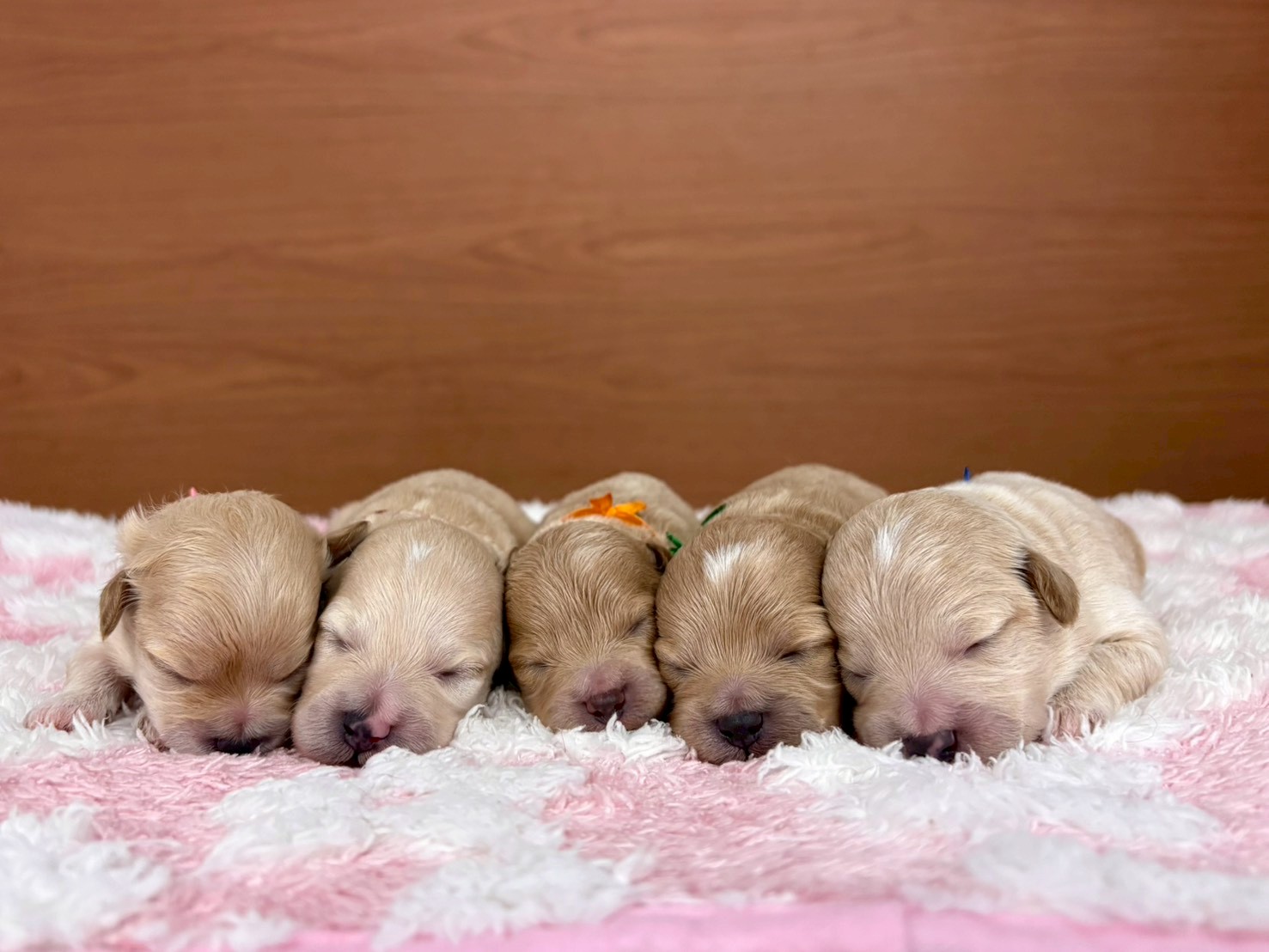 赤ちゃん写真1-3