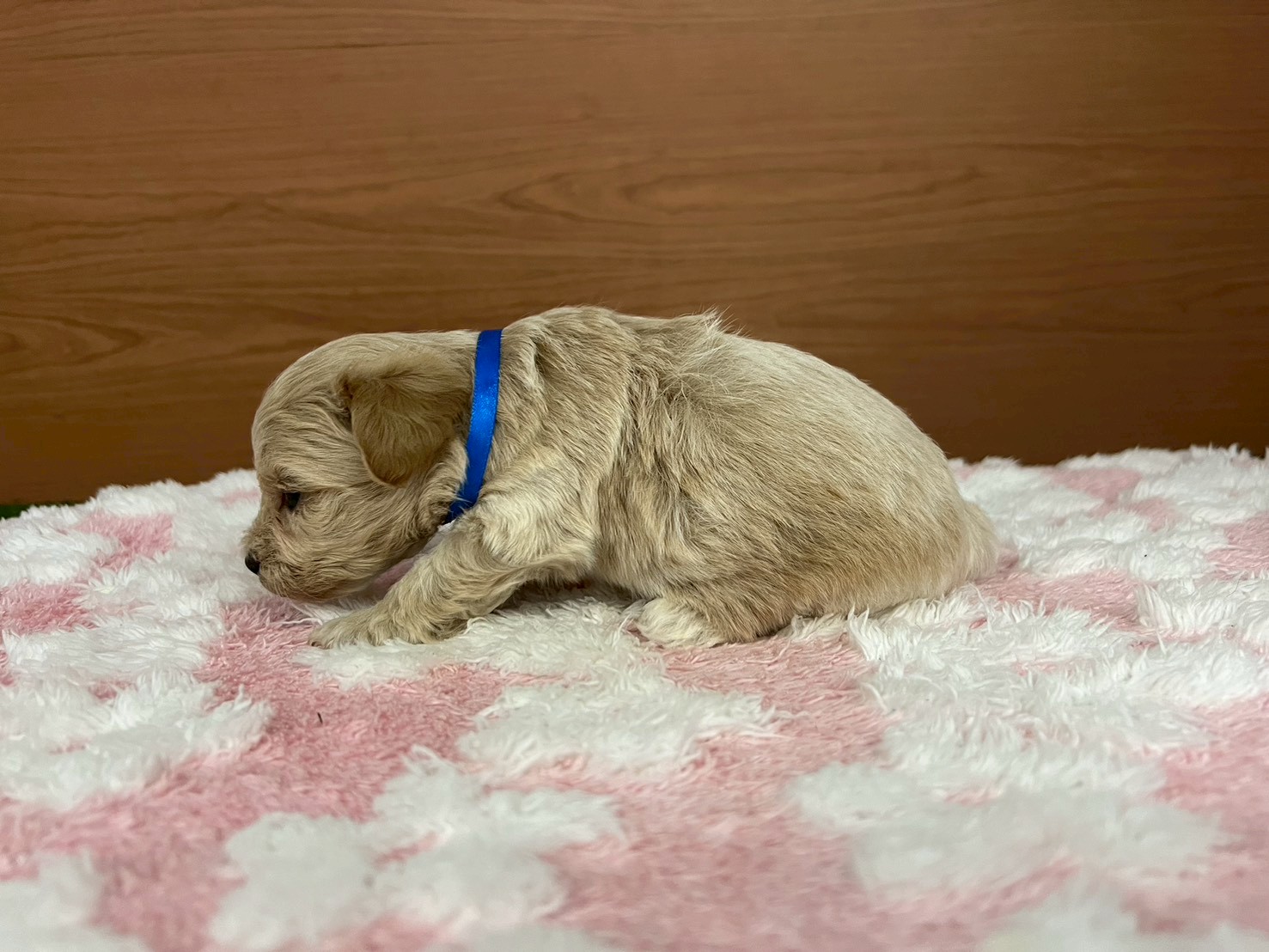 赤ちゃん写真2-2