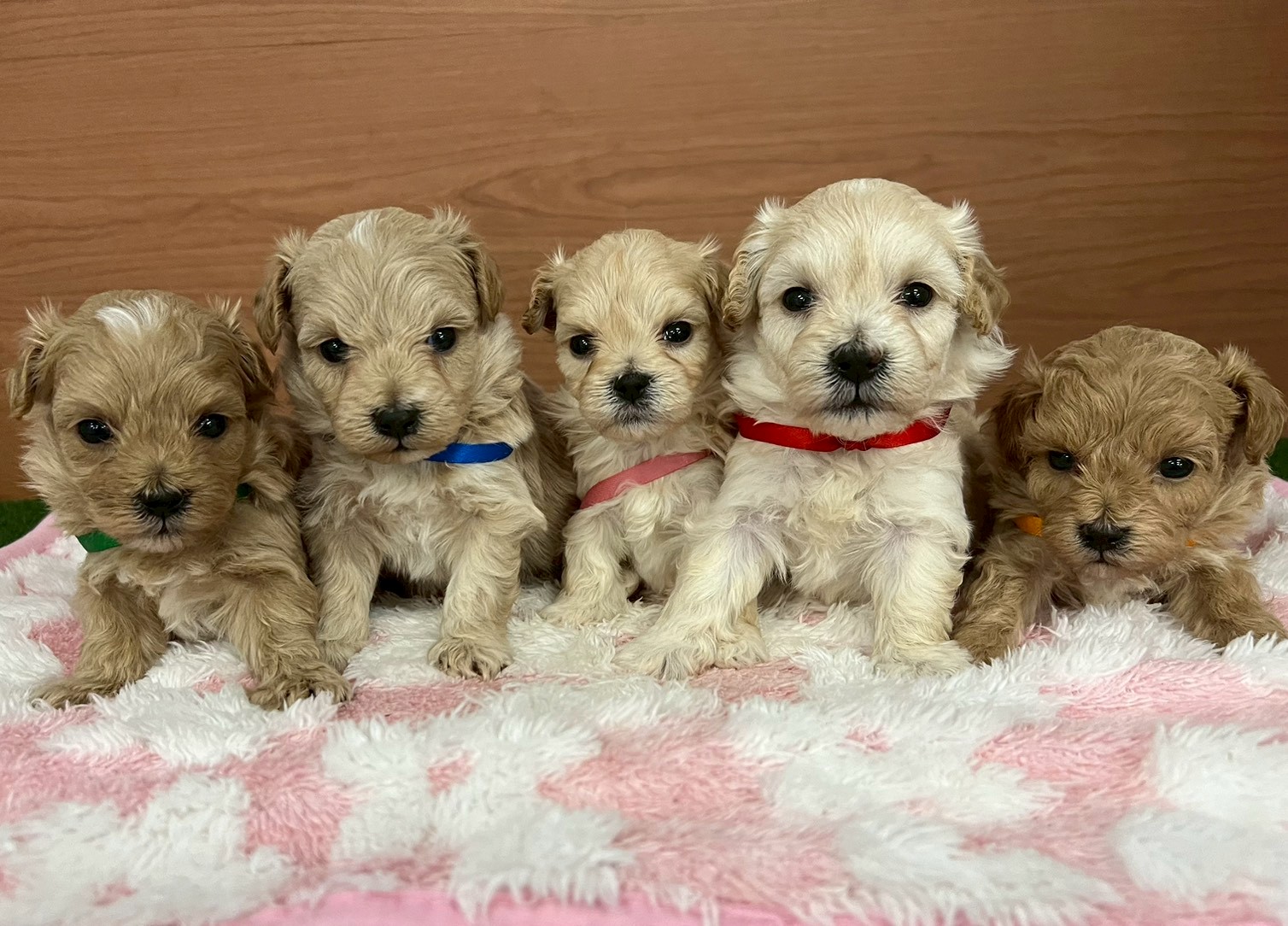 赤ちゃん写真2-3