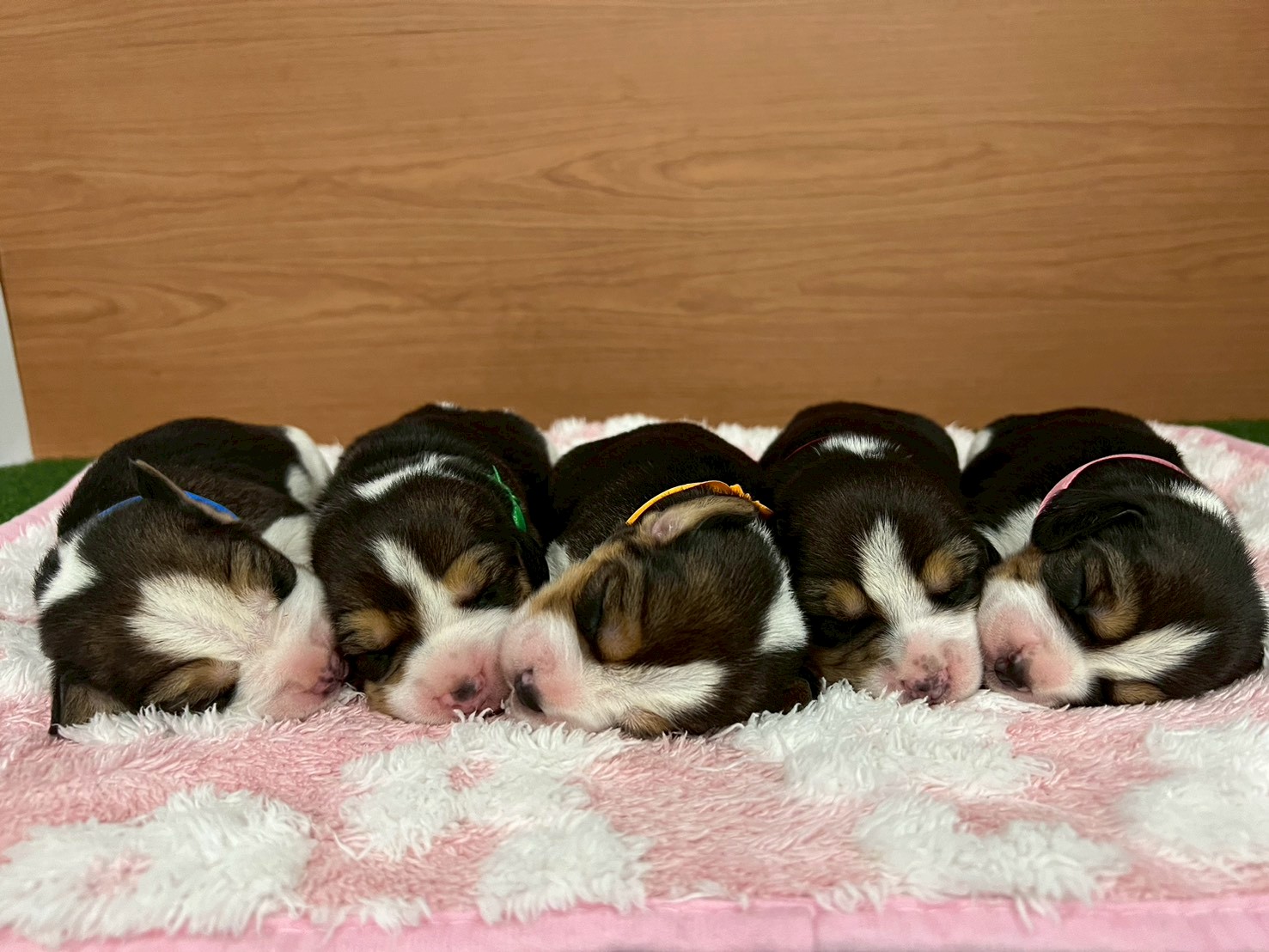 赤ちゃん写真1-3