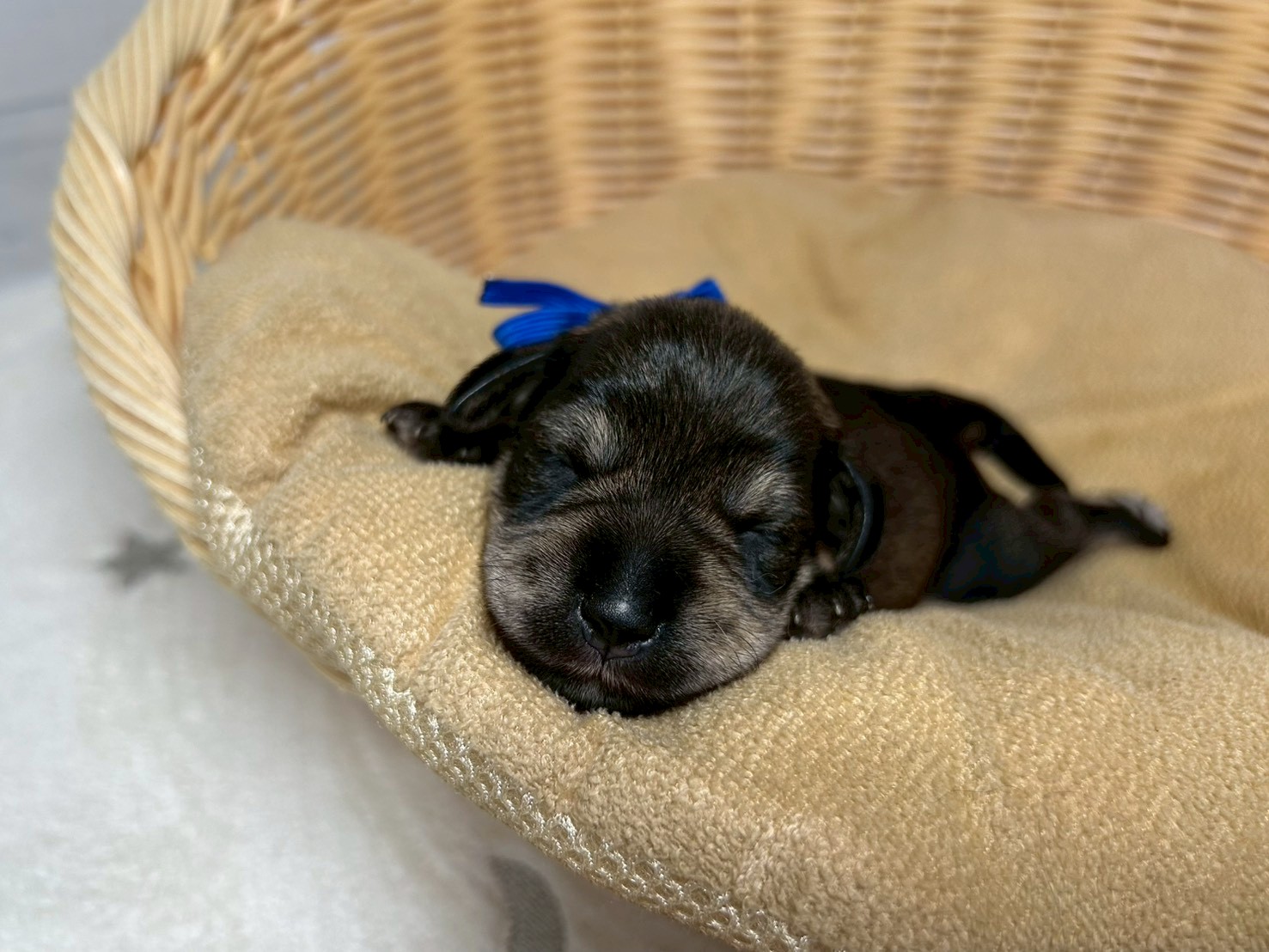 赤ちゃん写真1-1