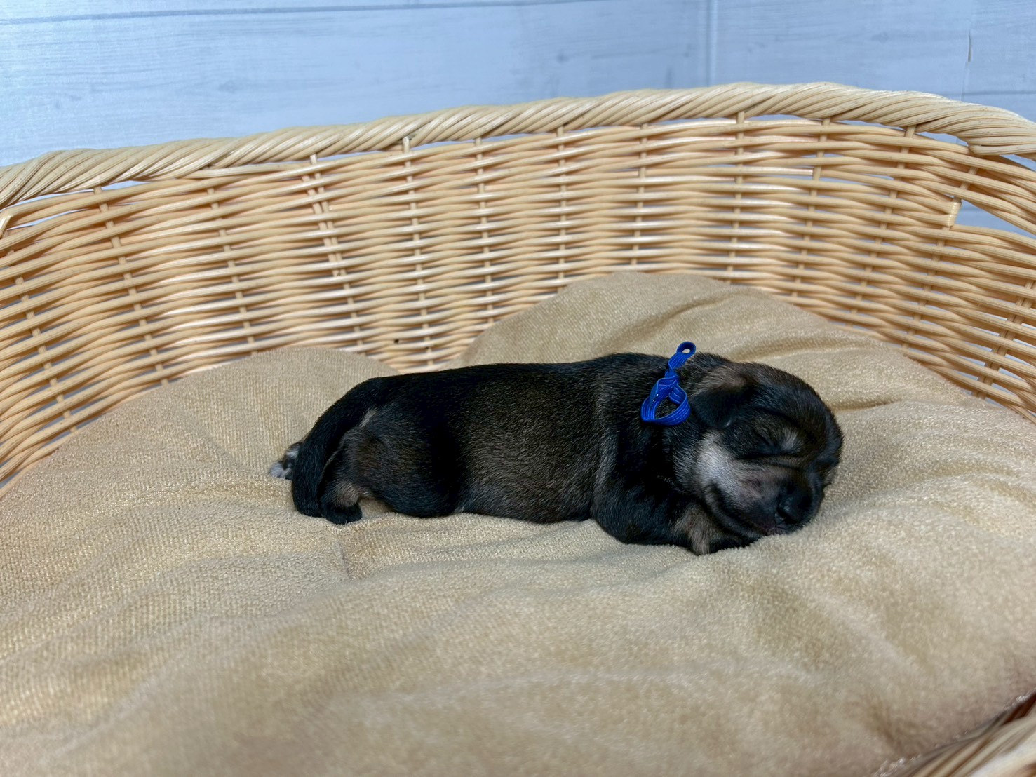 赤ちゃん写真1-2