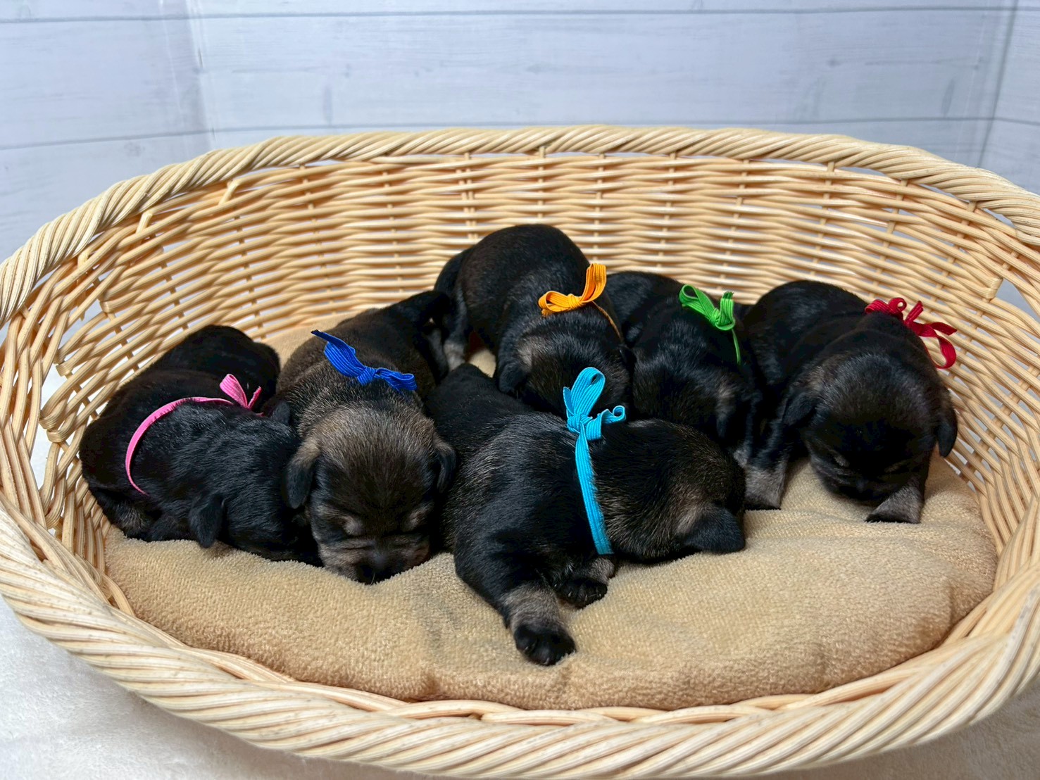 赤ちゃん写真1-3