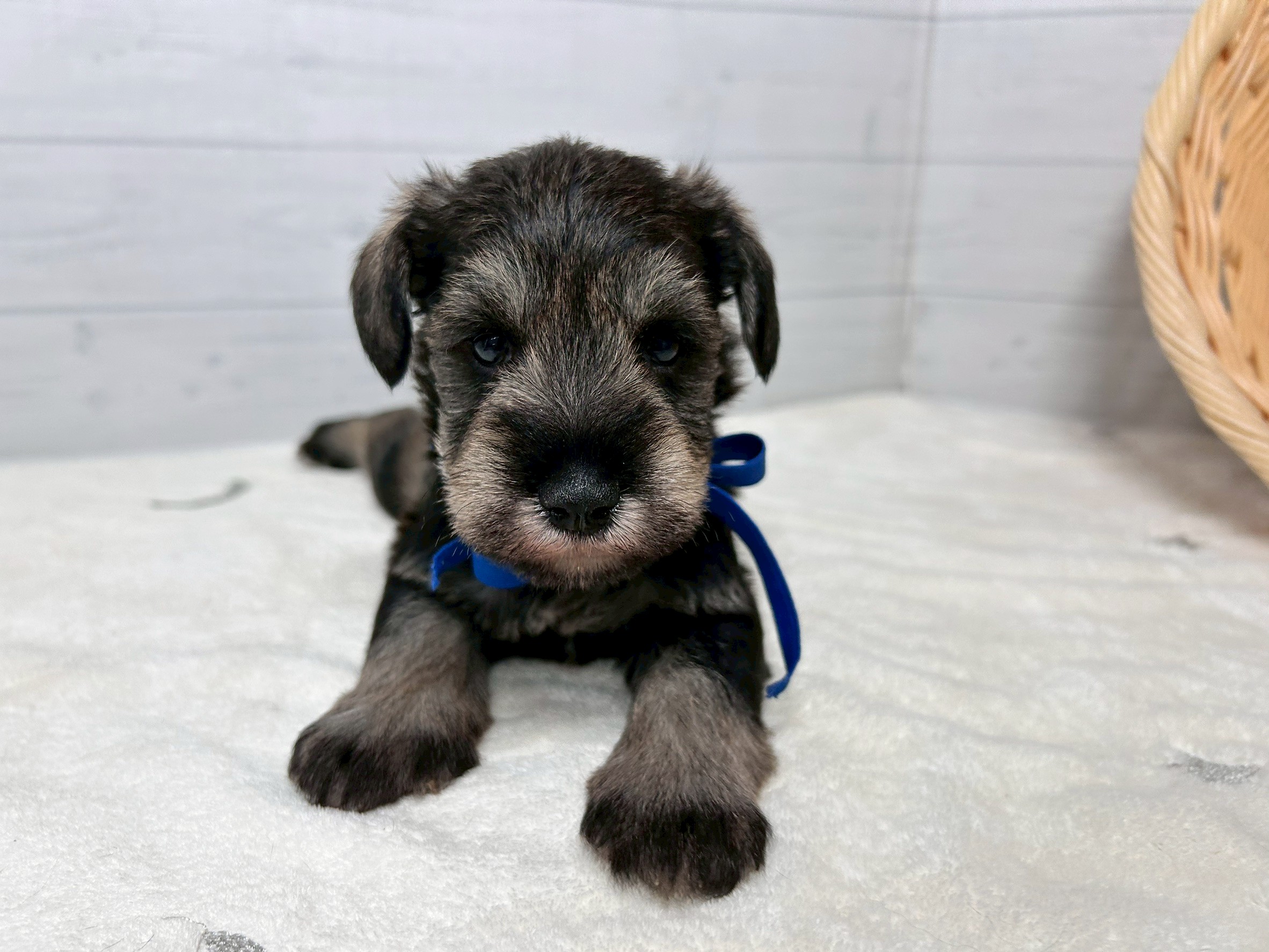 赤ちゃん写真2-1