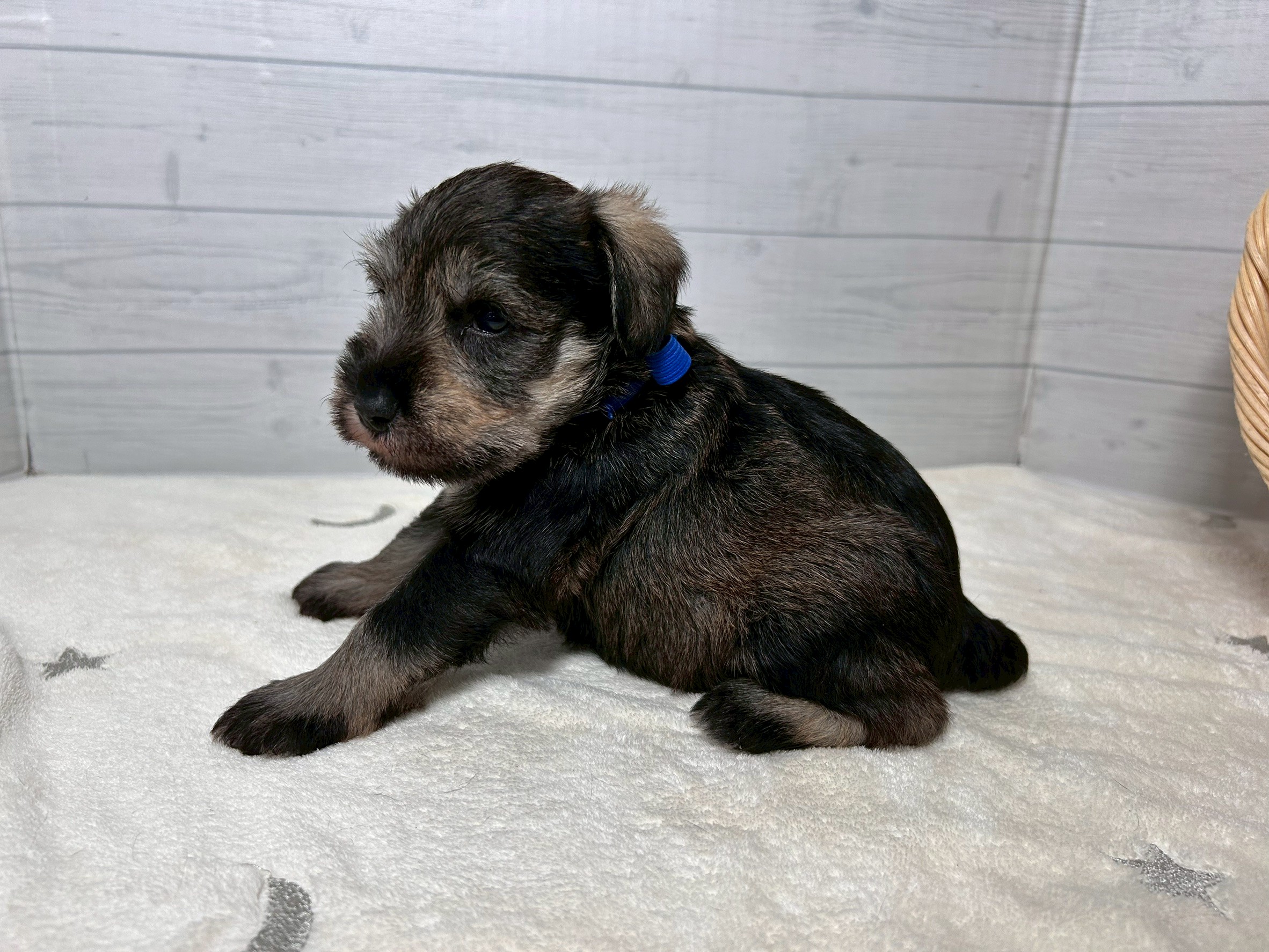 赤ちゃん写真2-2