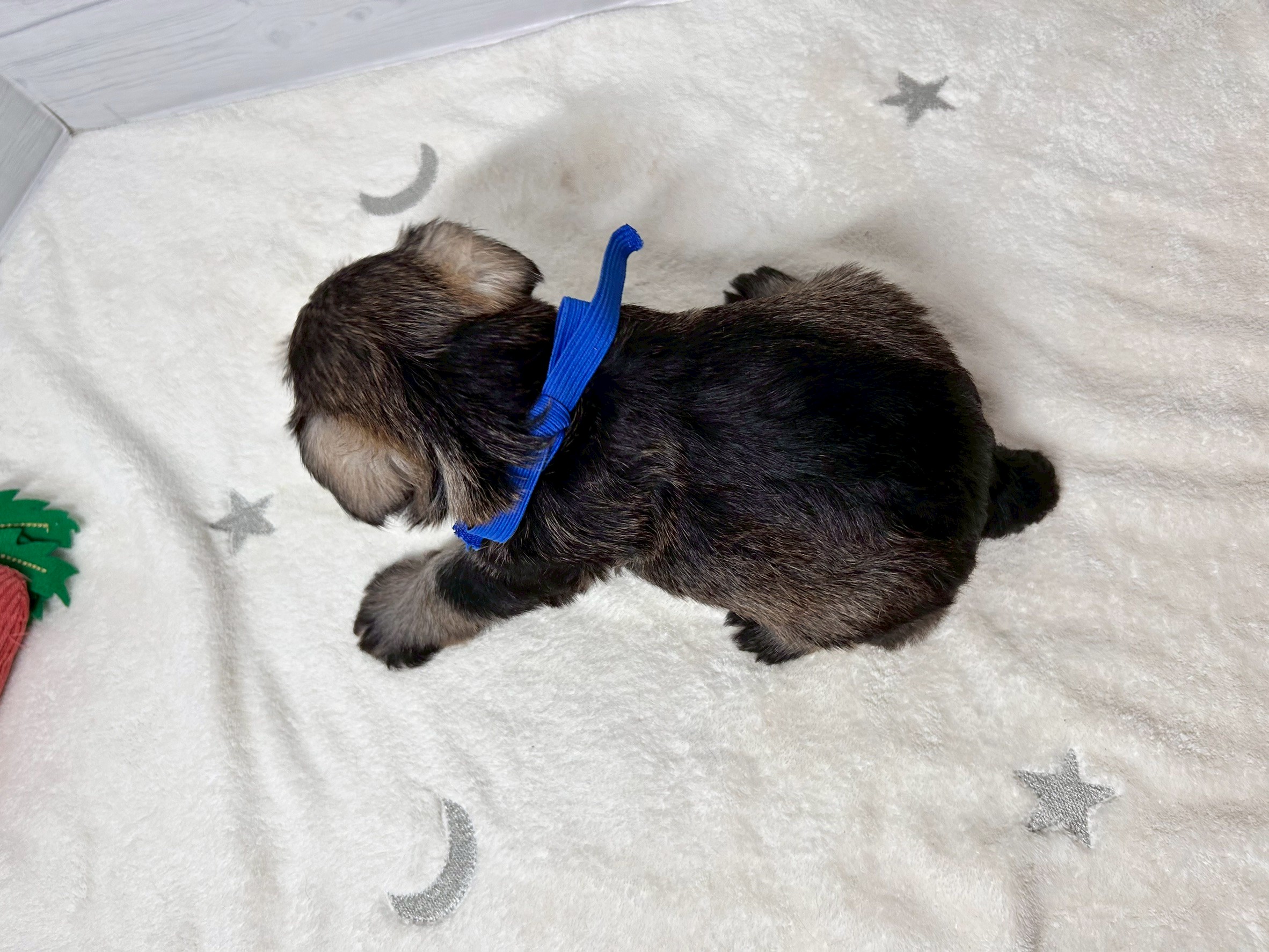 赤ちゃん写真2-3