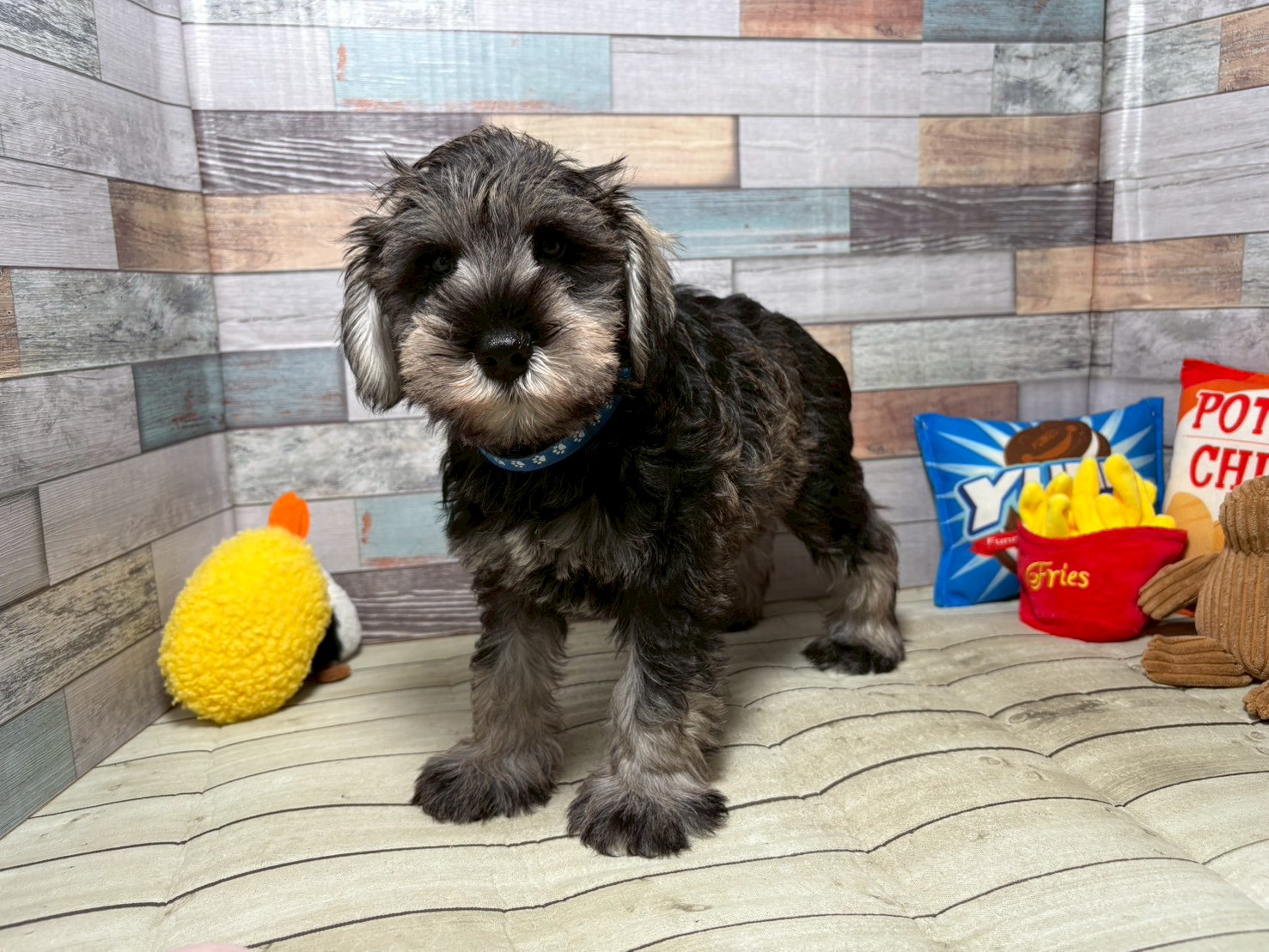 赤ちゃん写真3-1