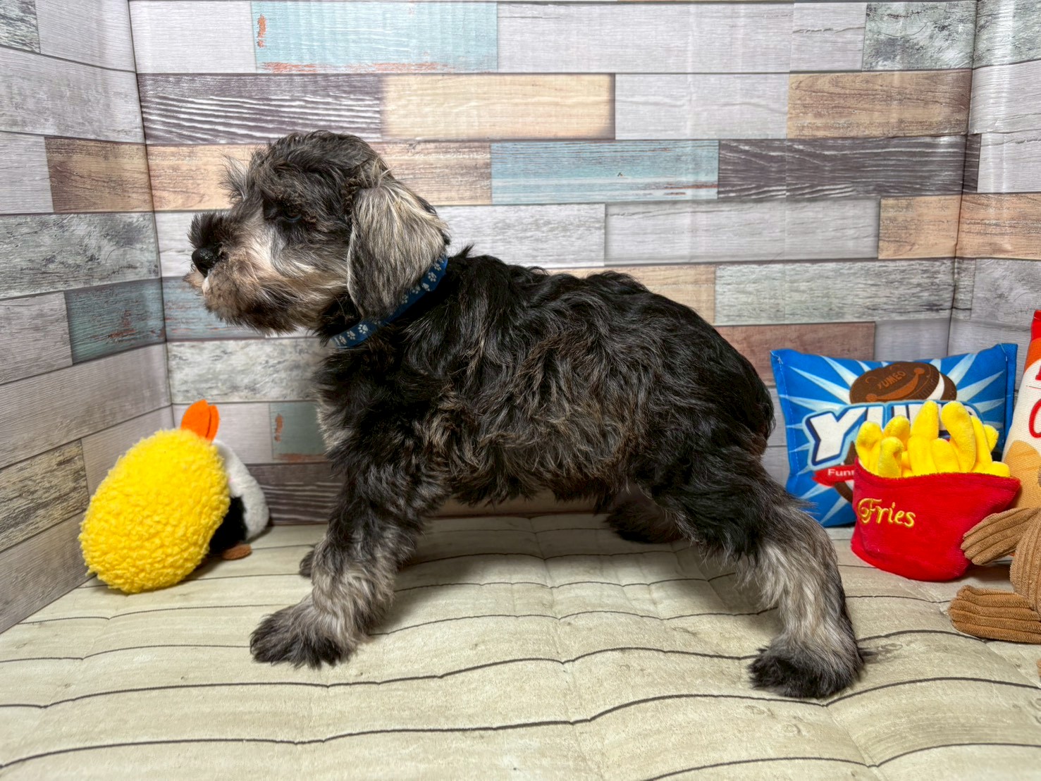 赤ちゃん写真3-2