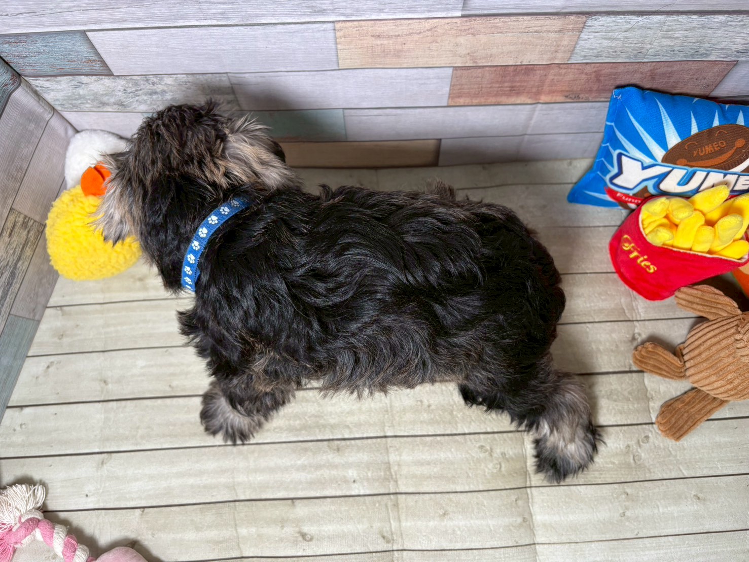 赤ちゃん写真3-3