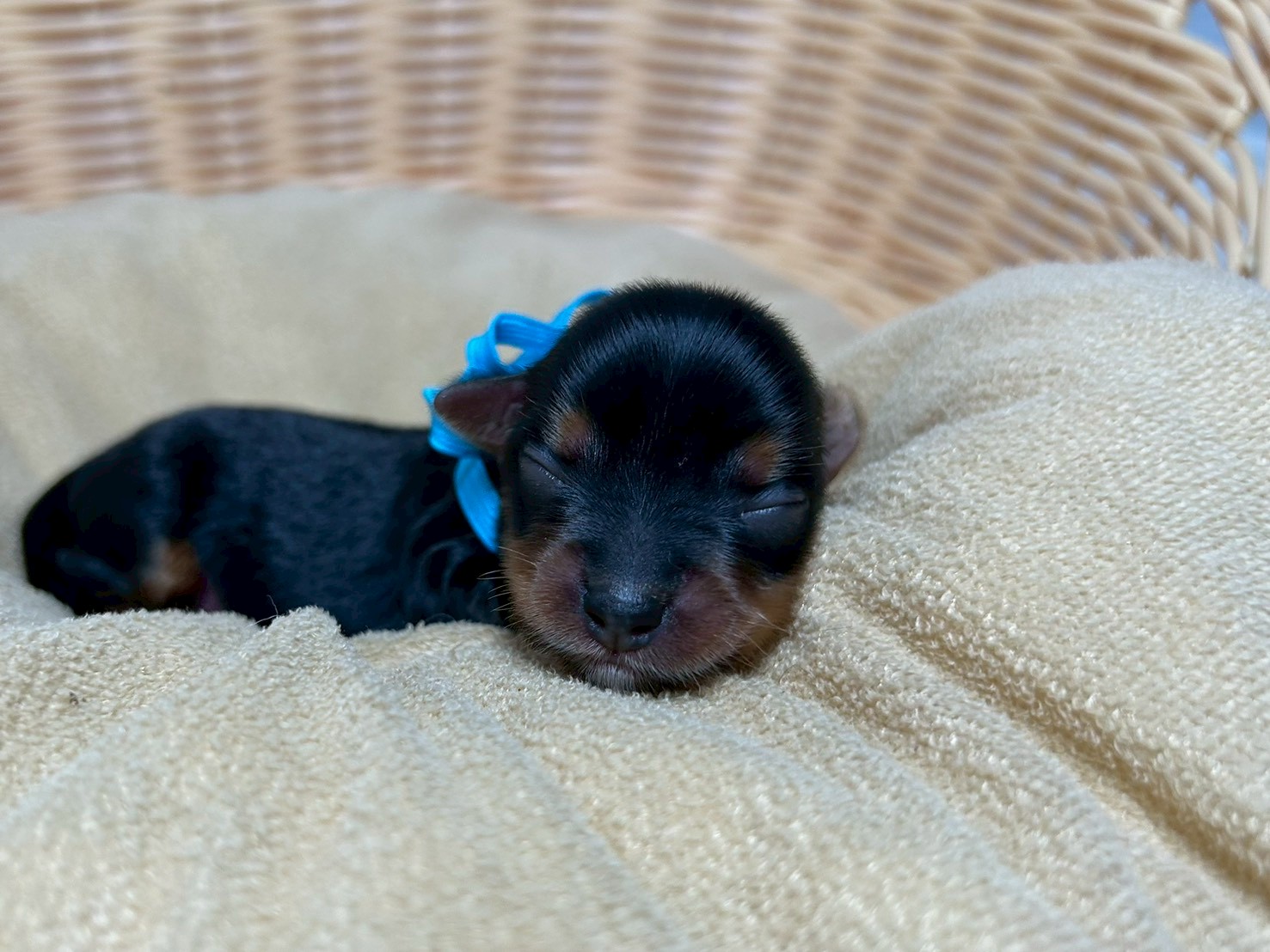 赤ちゃん写真1-1