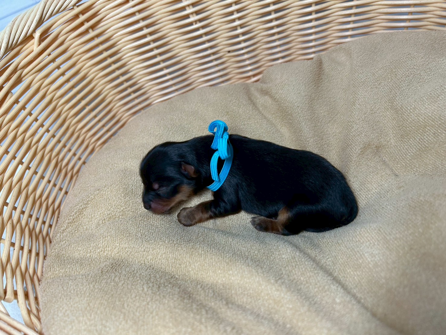 赤ちゃん写真1-2