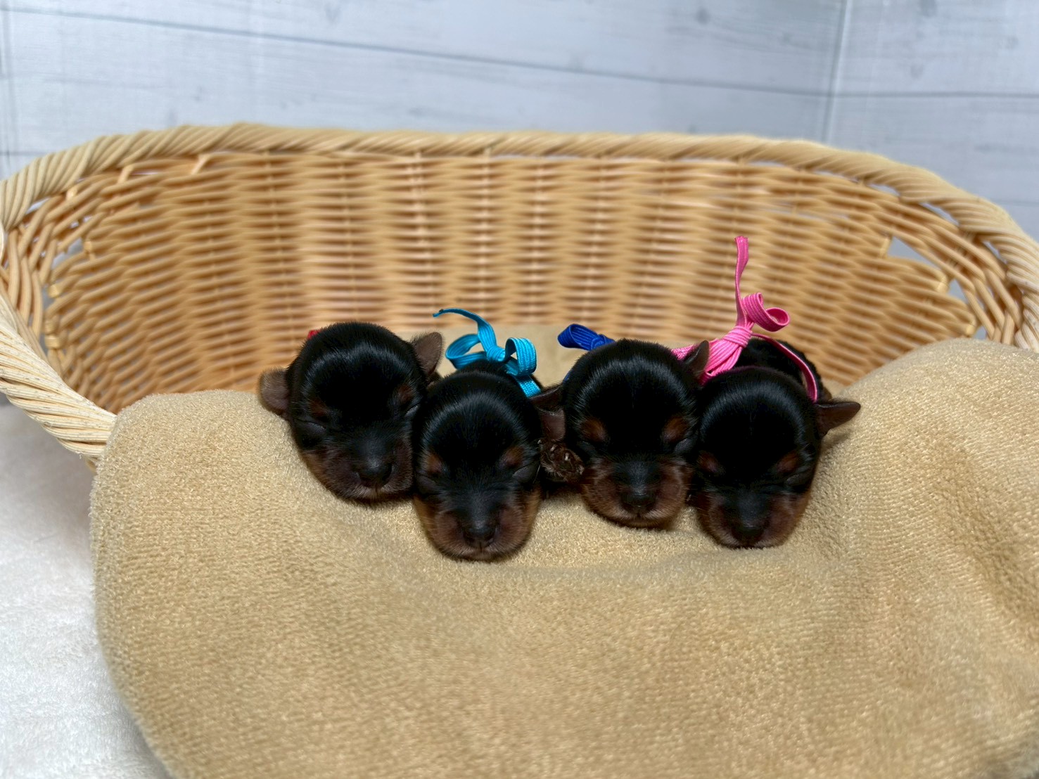 赤ちゃん写真1-3