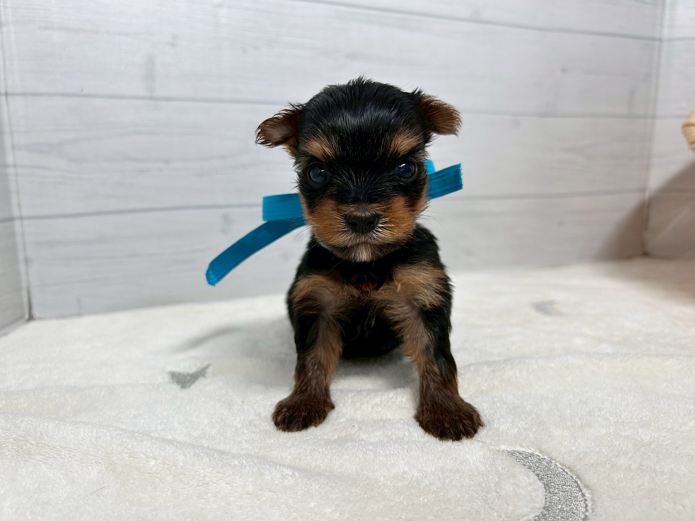 赤ちゃん写真2-1