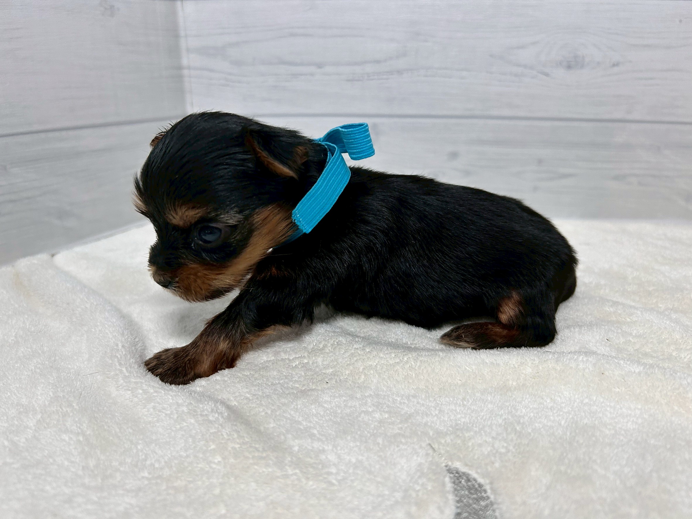 赤ちゃん写真2-2