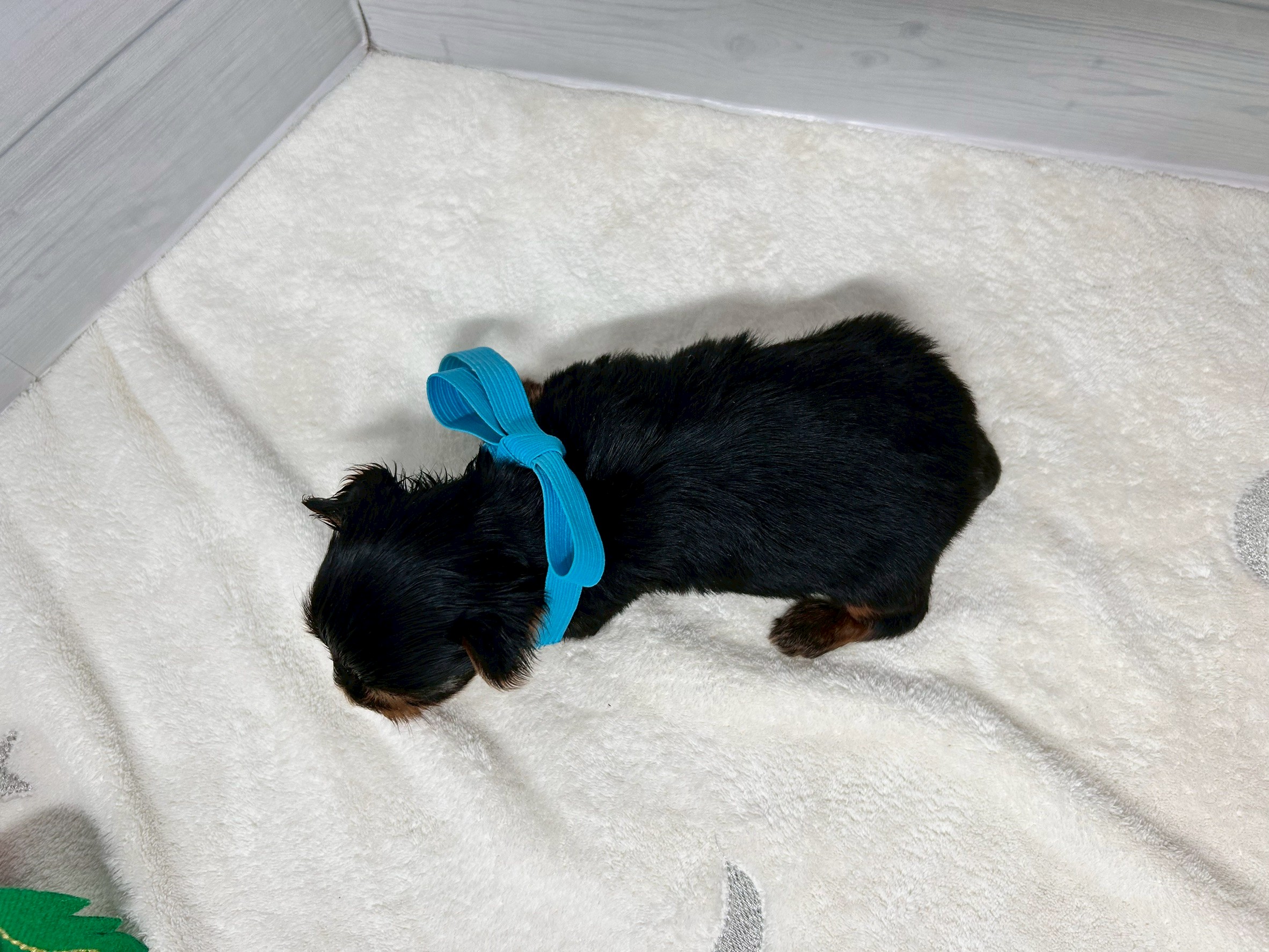 赤ちゃん写真2-3