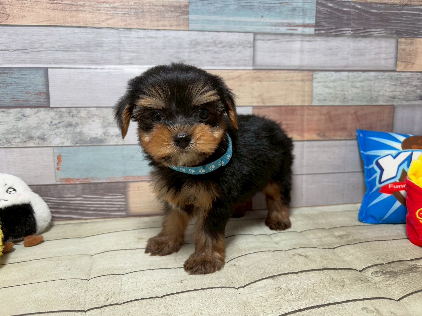 赤ちゃん写真3-1