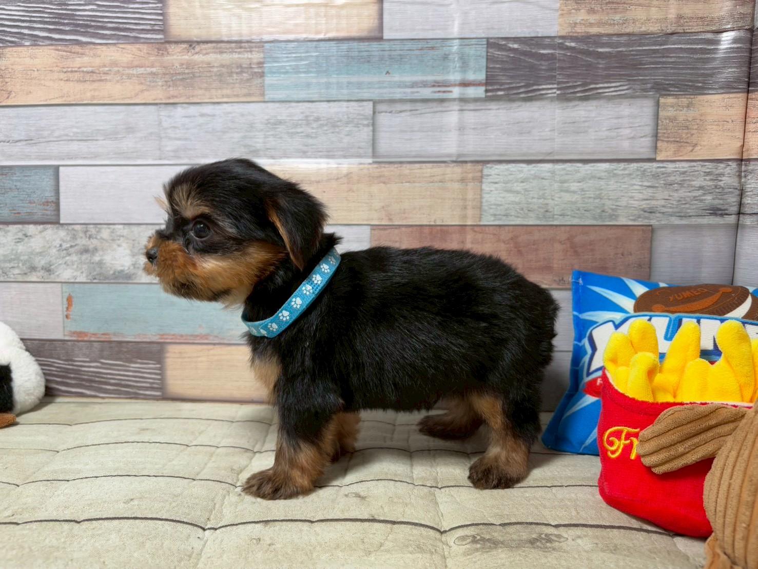 赤ちゃん写真3-2