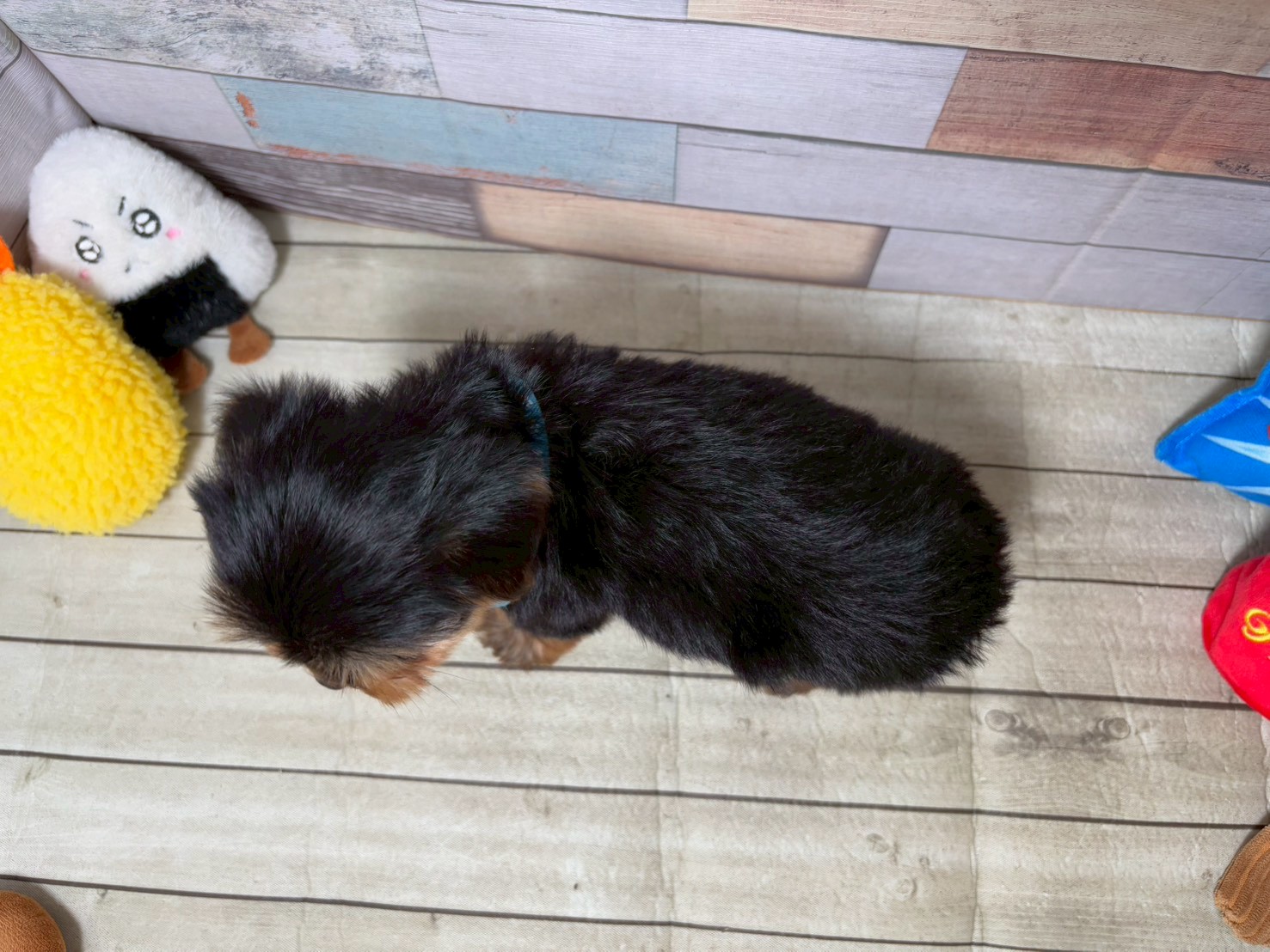 赤ちゃん写真3-3