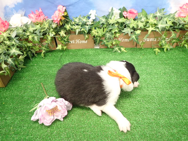 赤ちゃん写真1-3