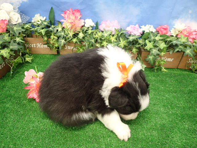 赤ちゃん写真2-3