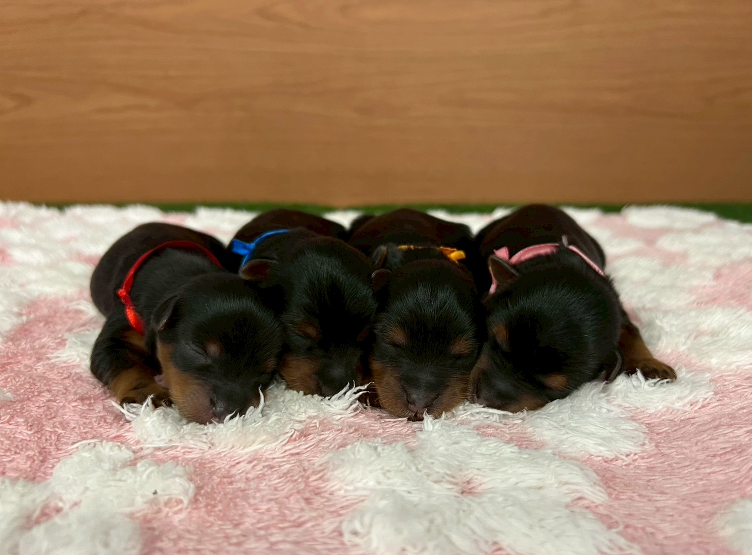 赤ちゃん写真1-3