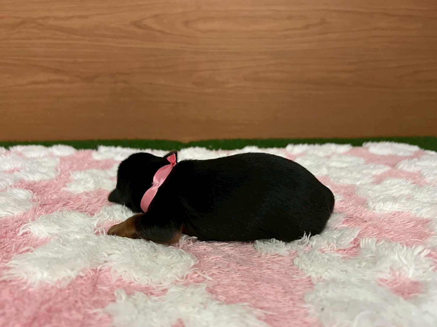 赤ちゃん写真1-2