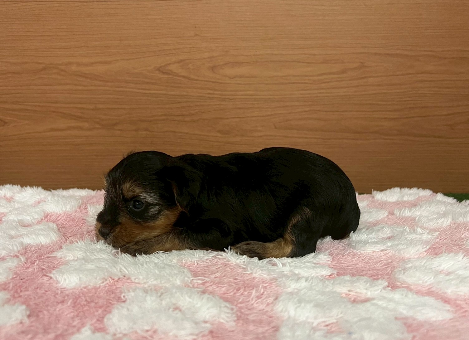 赤ちゃん写真2-2