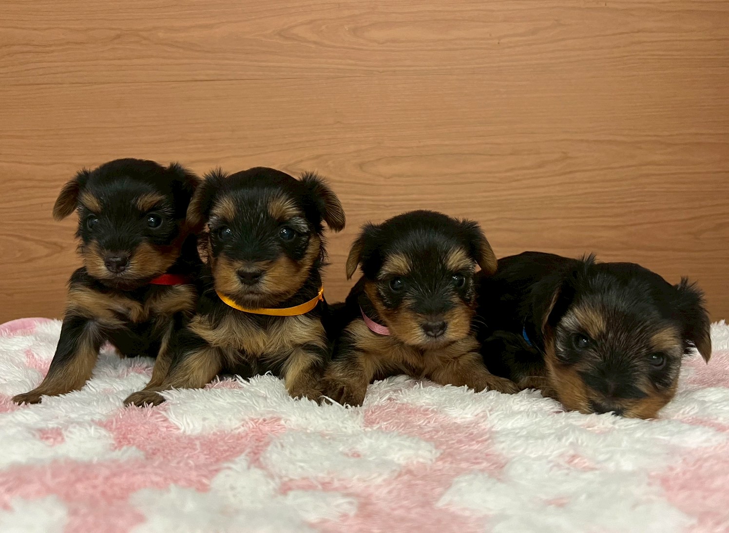 赤ちゃん写真2-3