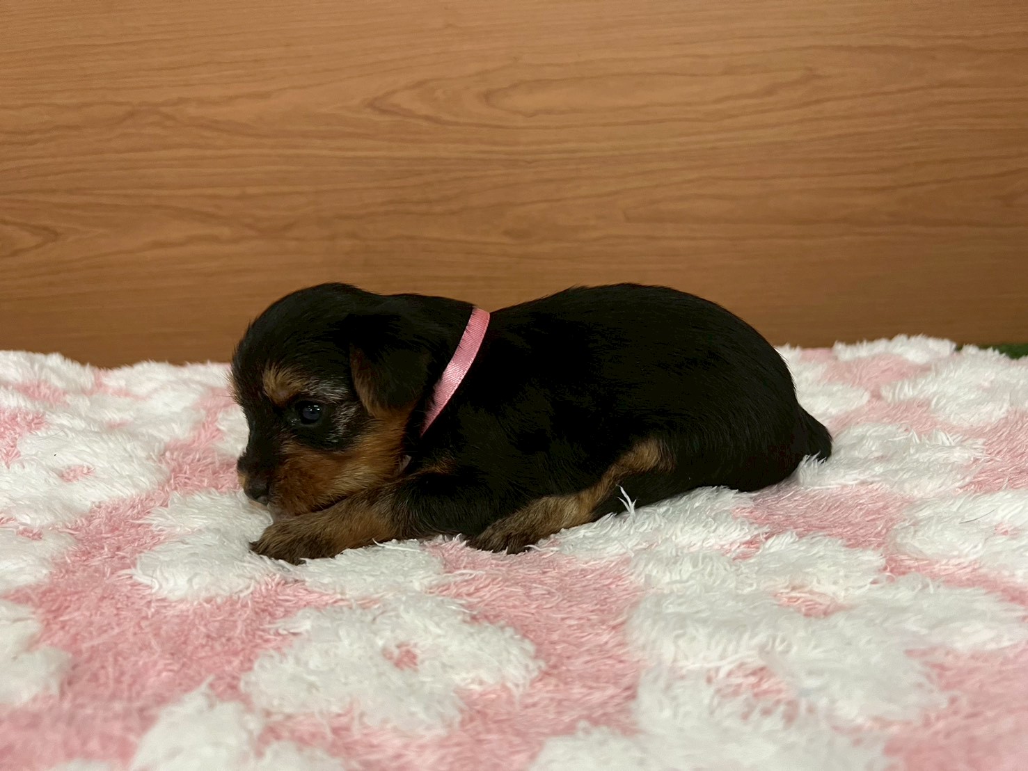 赤ちゃん写真2-2