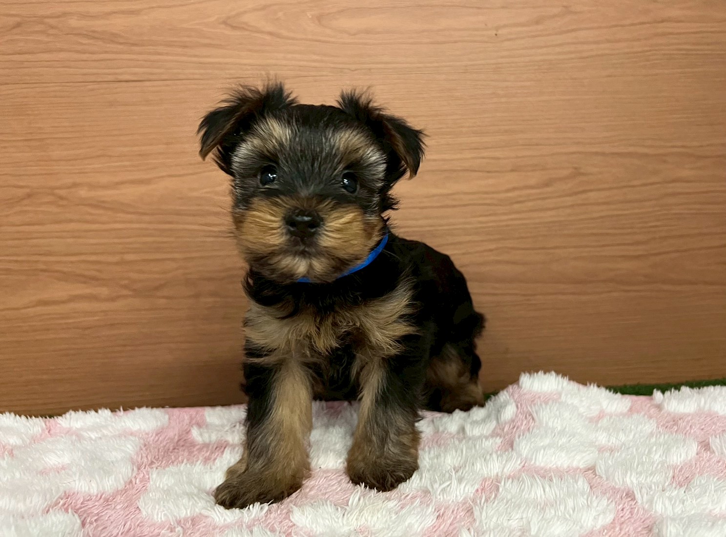 赤ちゃん写真3-1