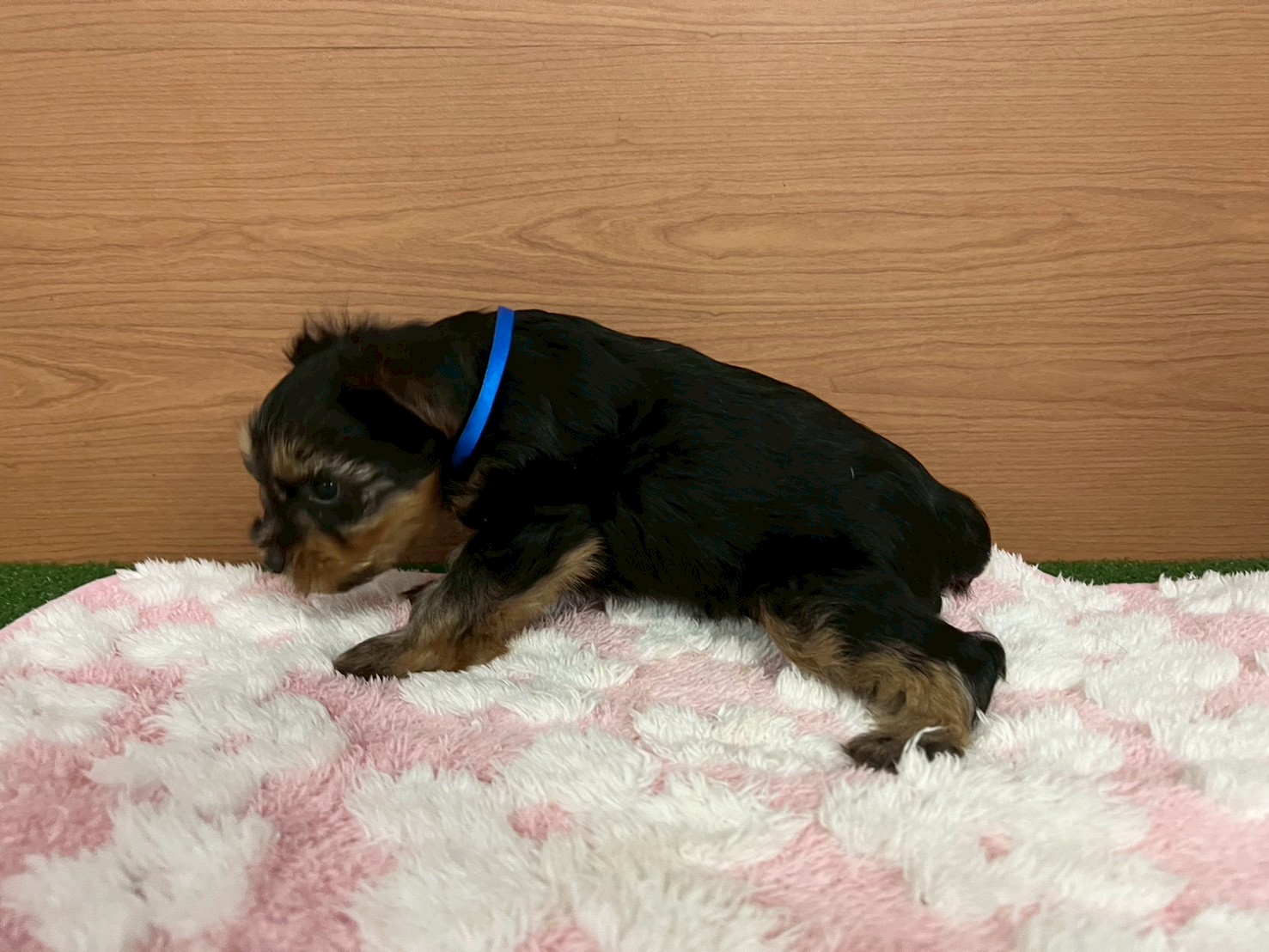 赤ちゃん写真3-2