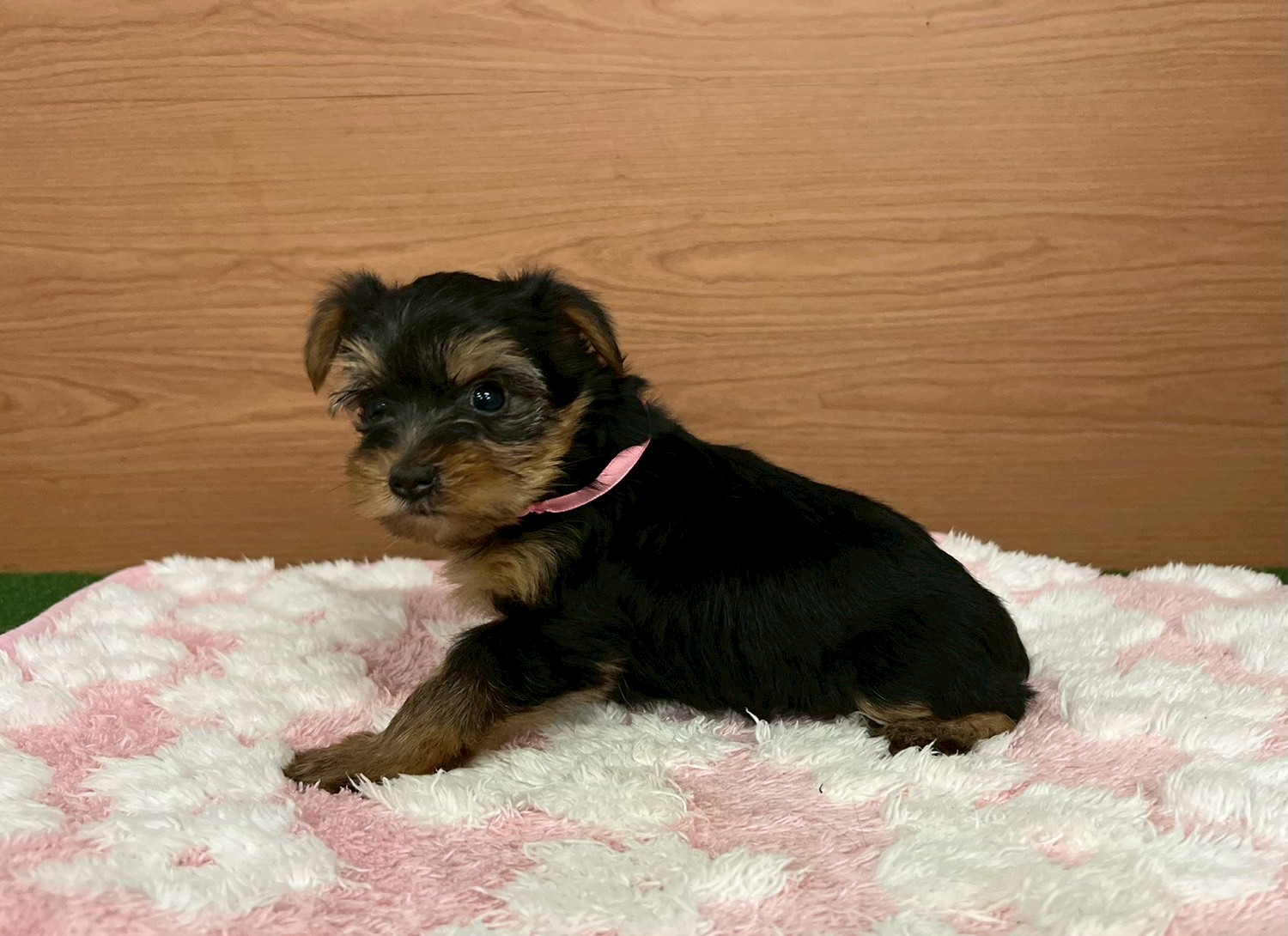 赤ちゃん写真3-2