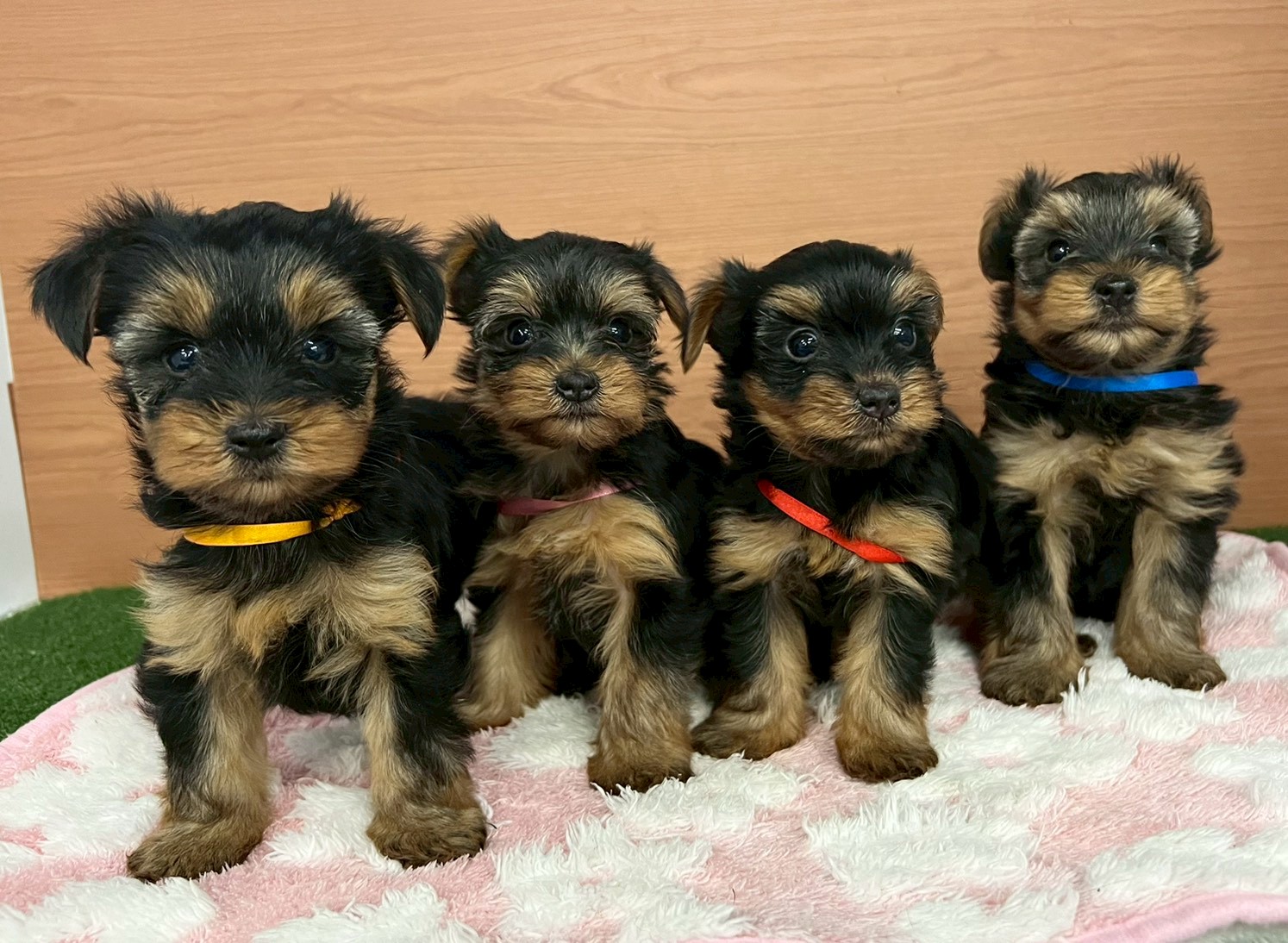 赤ちゃん写真3-3