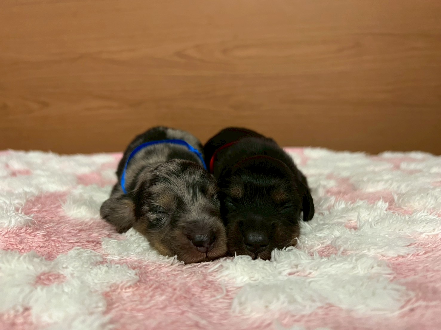 赤ちゃん写真1-3