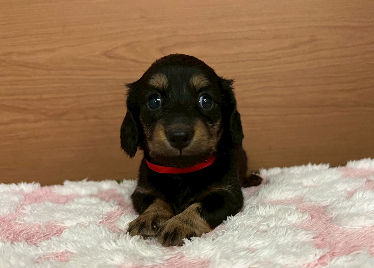 赤ちゃん写真2-1