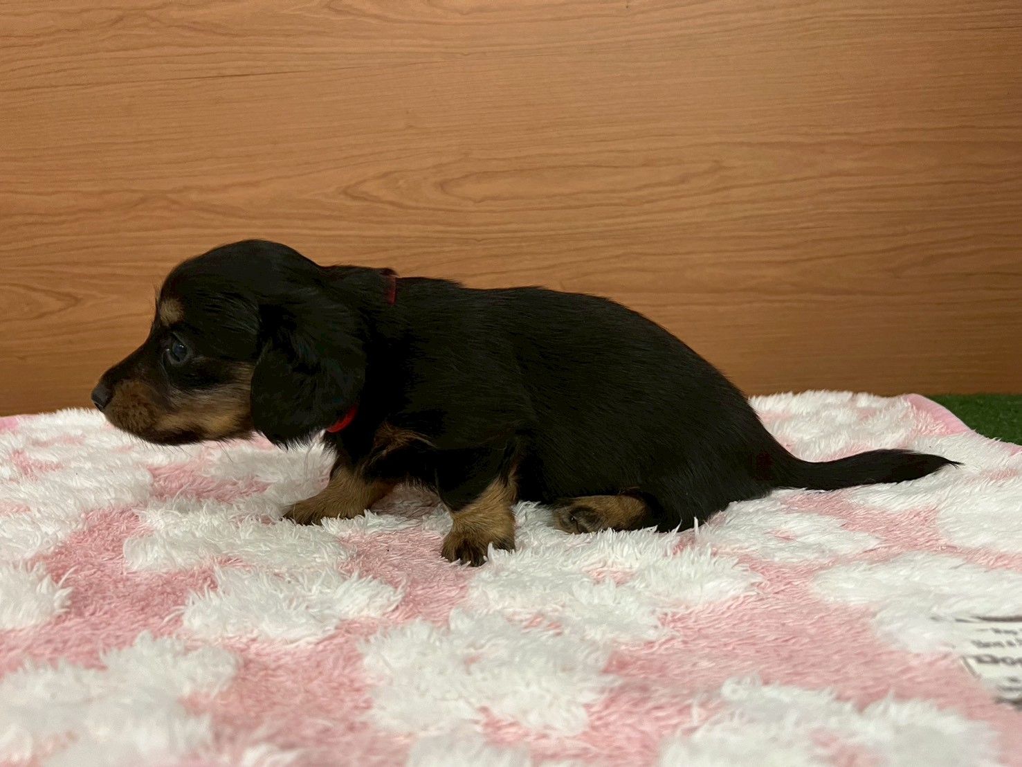 赤ちゃん写真2-2