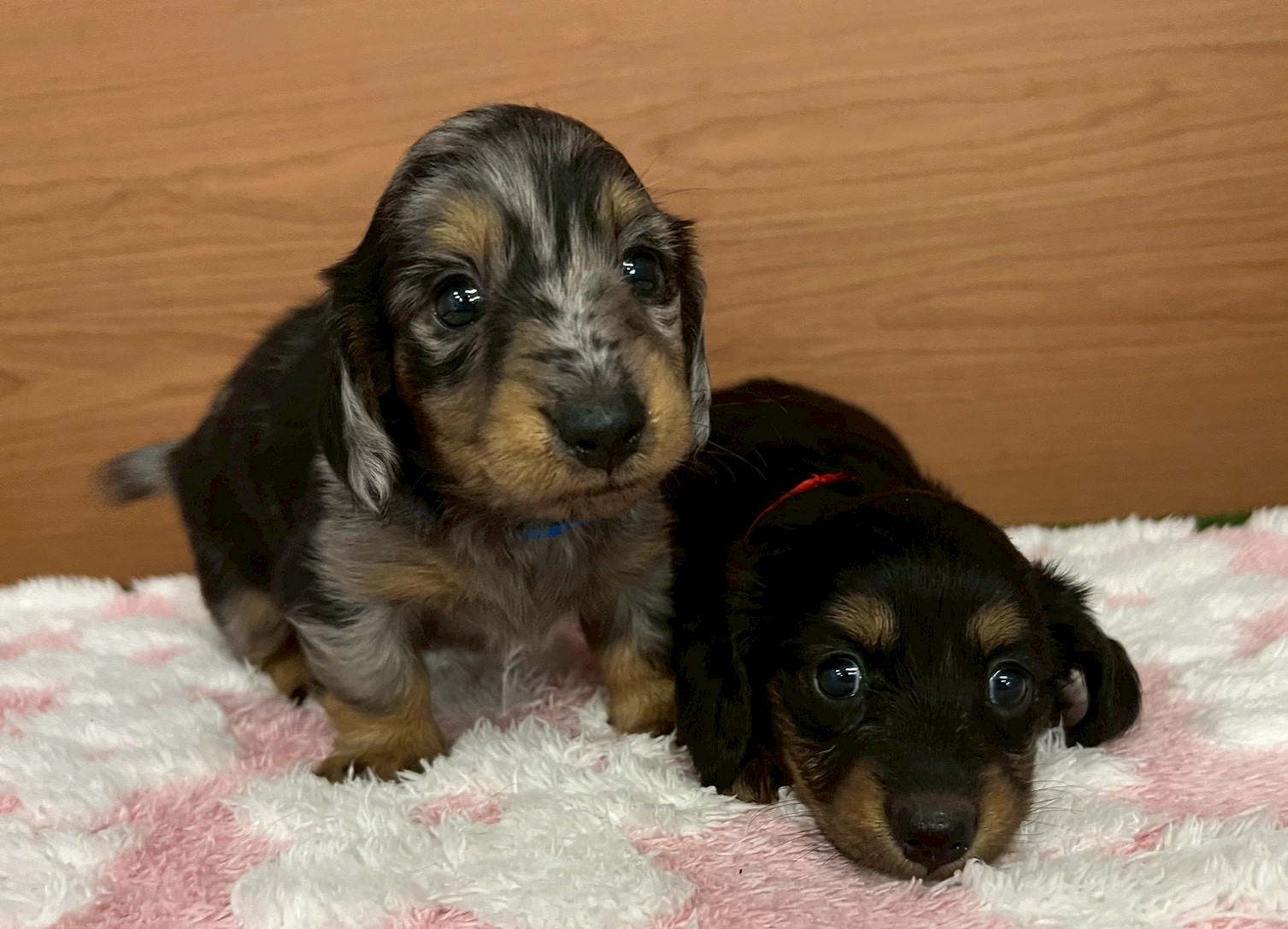 赤ちゃん写真2-3