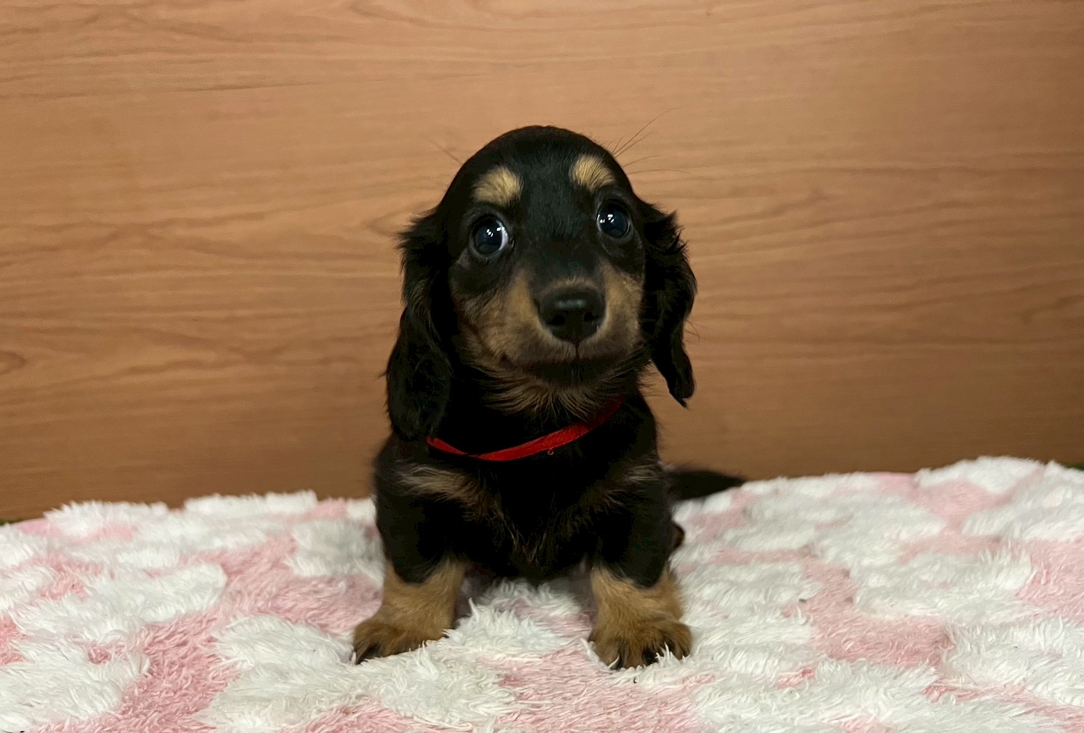 赤ちゃん写真3-1