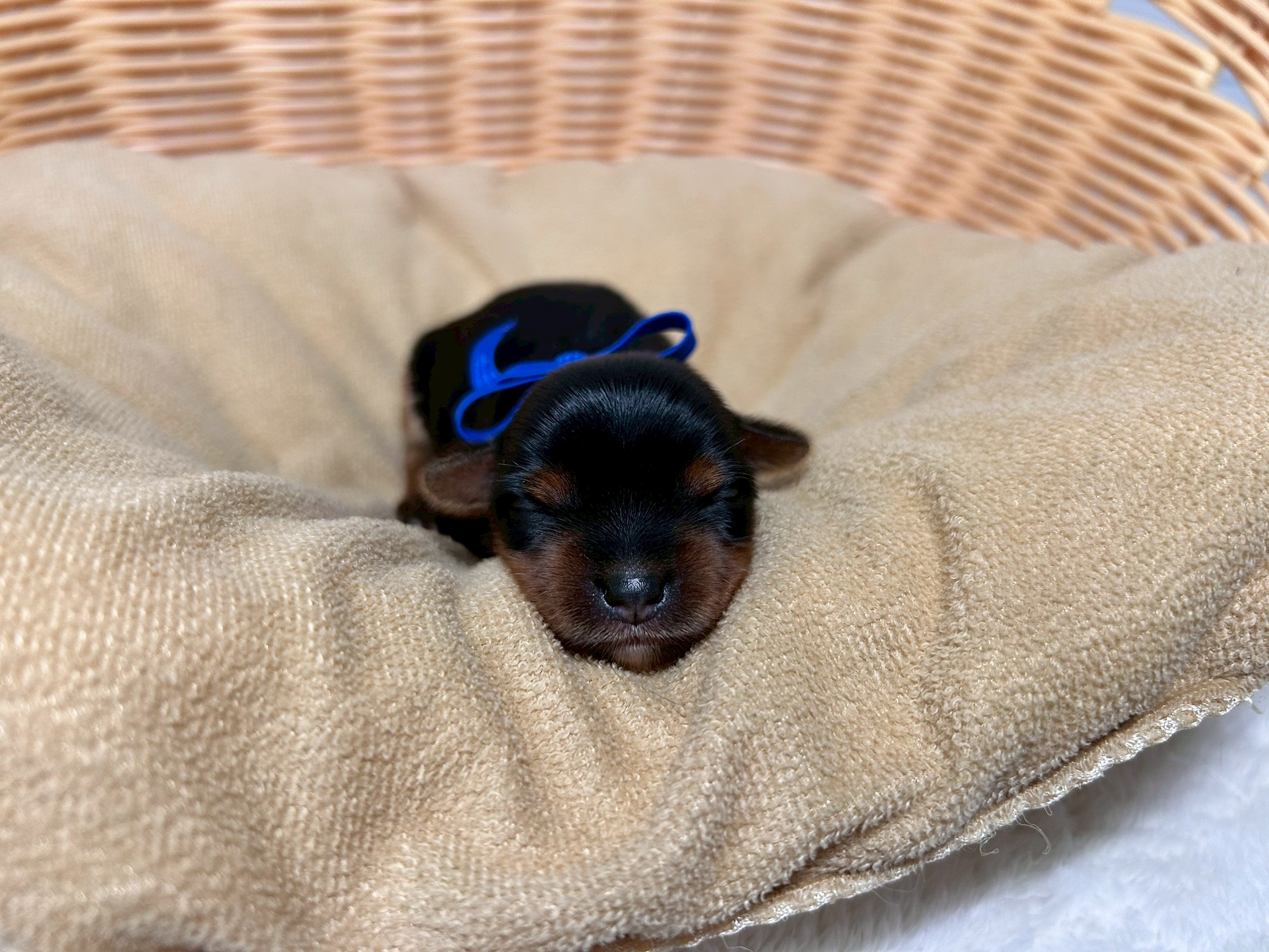 赤ちゃん写真1-1
