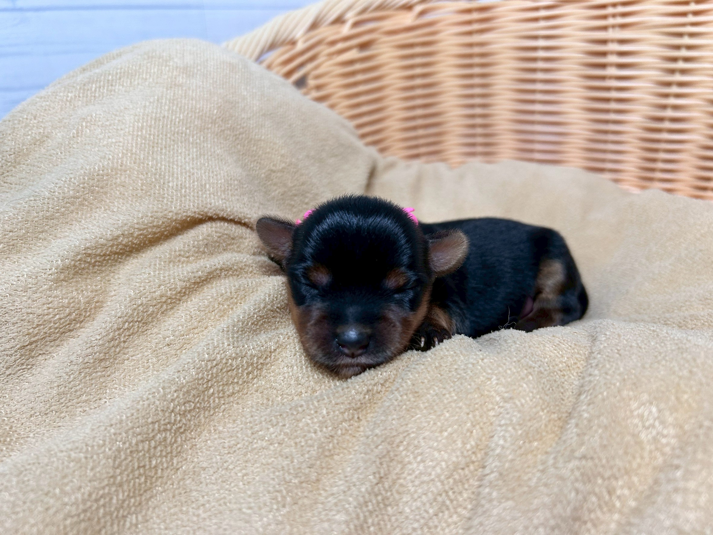 赤ちゃん写真1-1