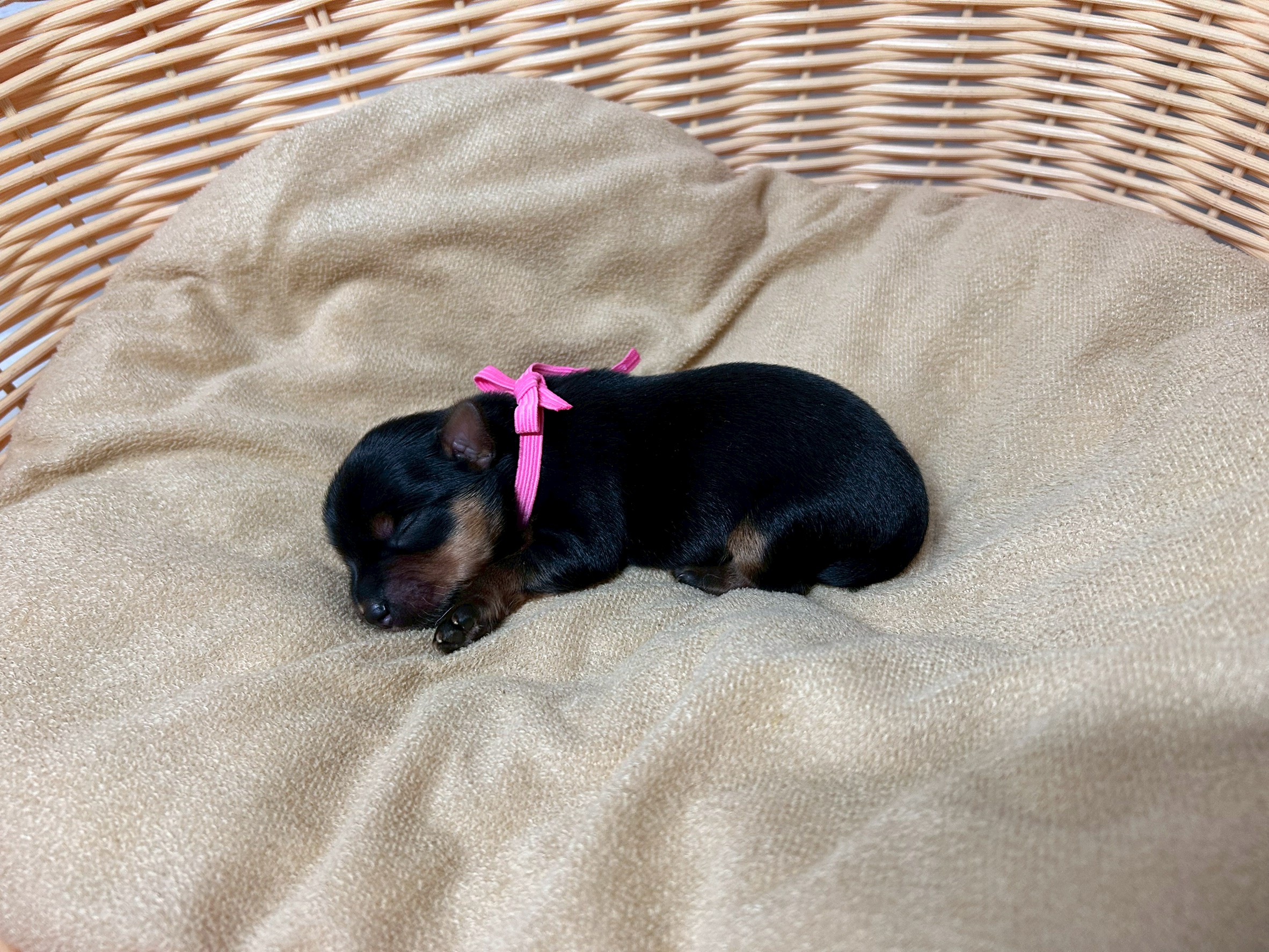 赤ちゃん写真1-2