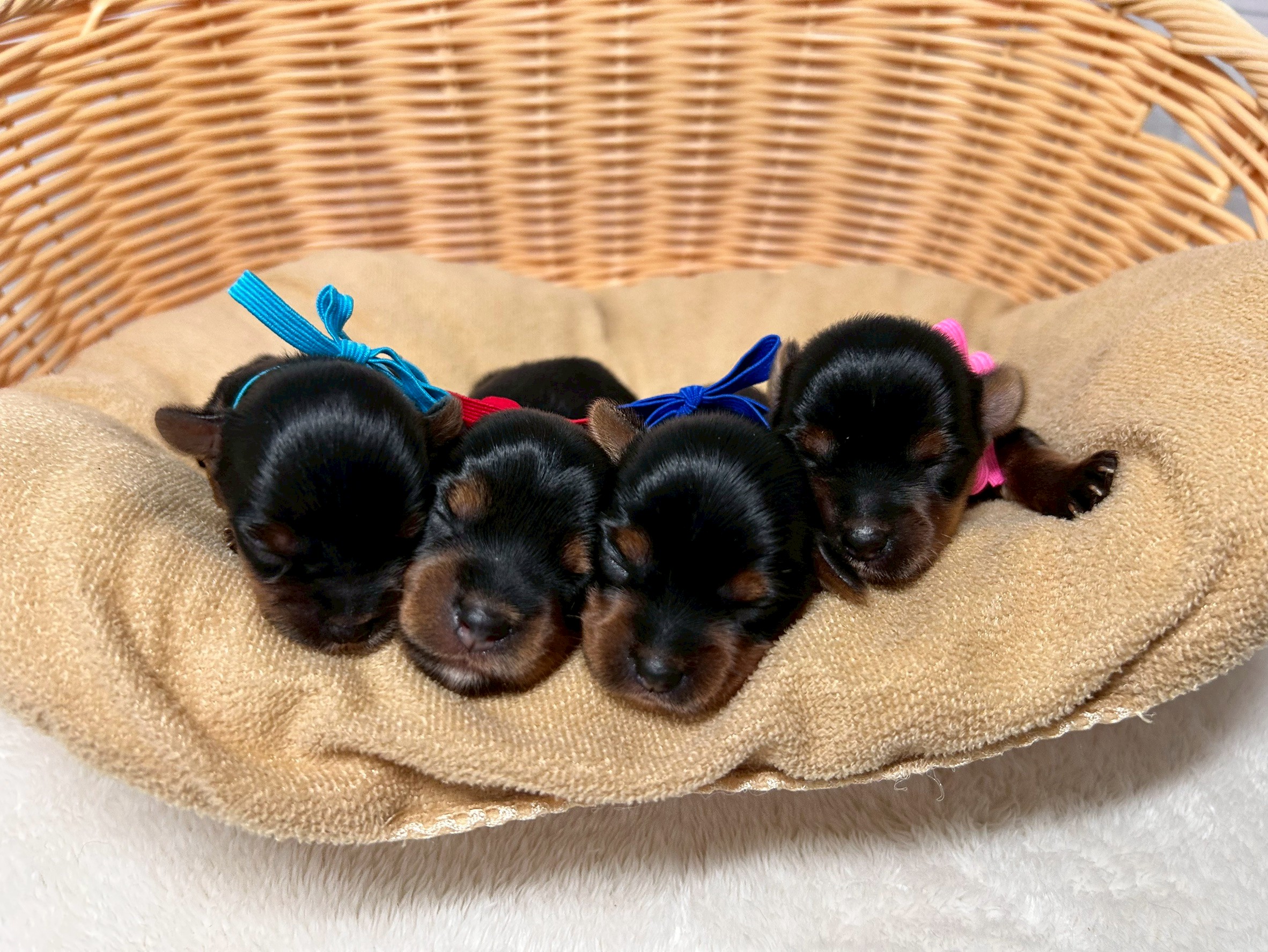 赤ちゃん写真1-3