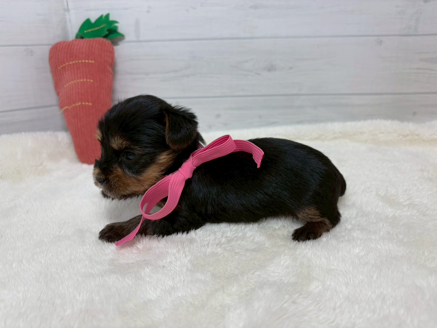 赤ちゃん写真2-2