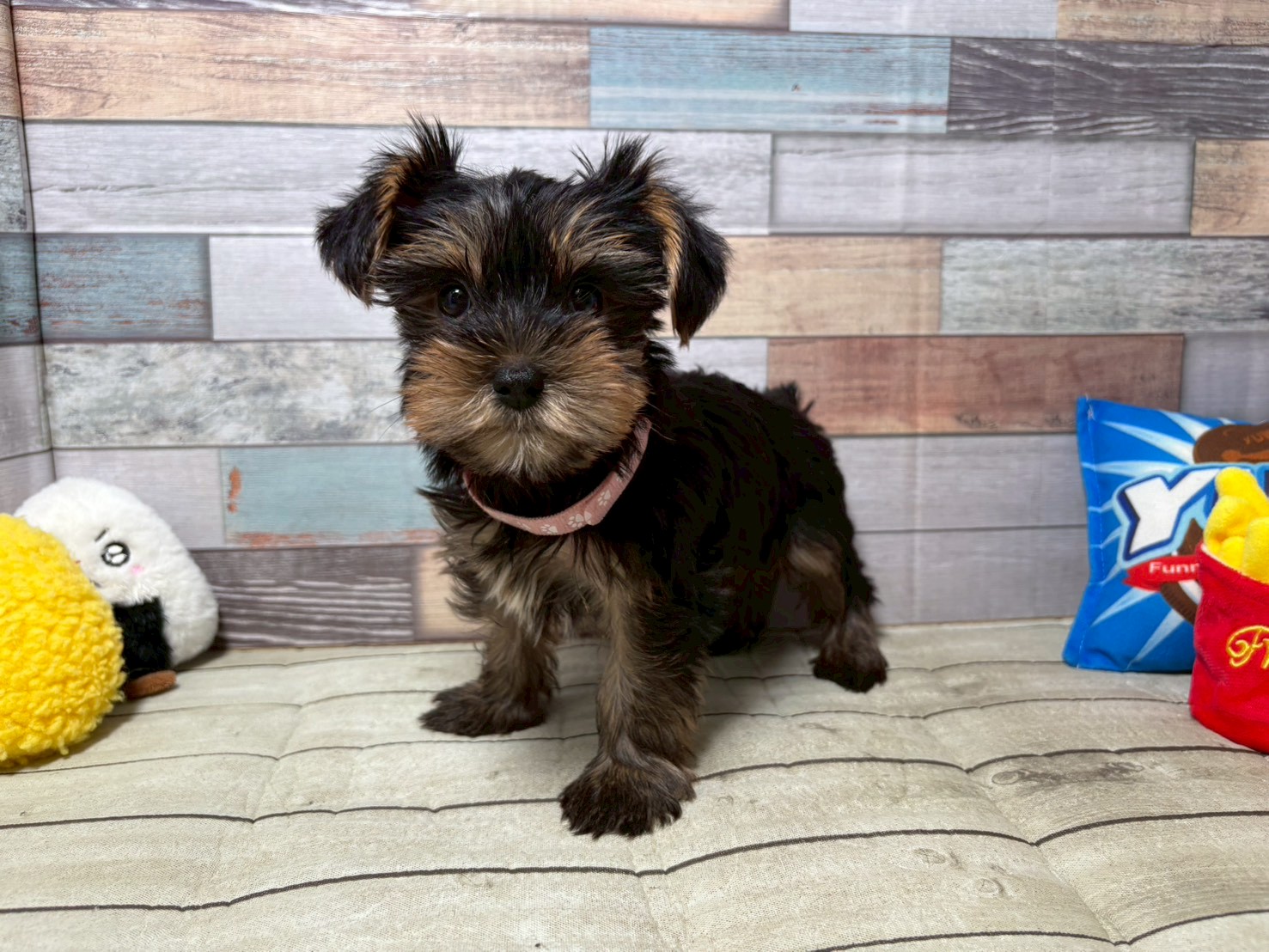 赤ちゃん写真3-1