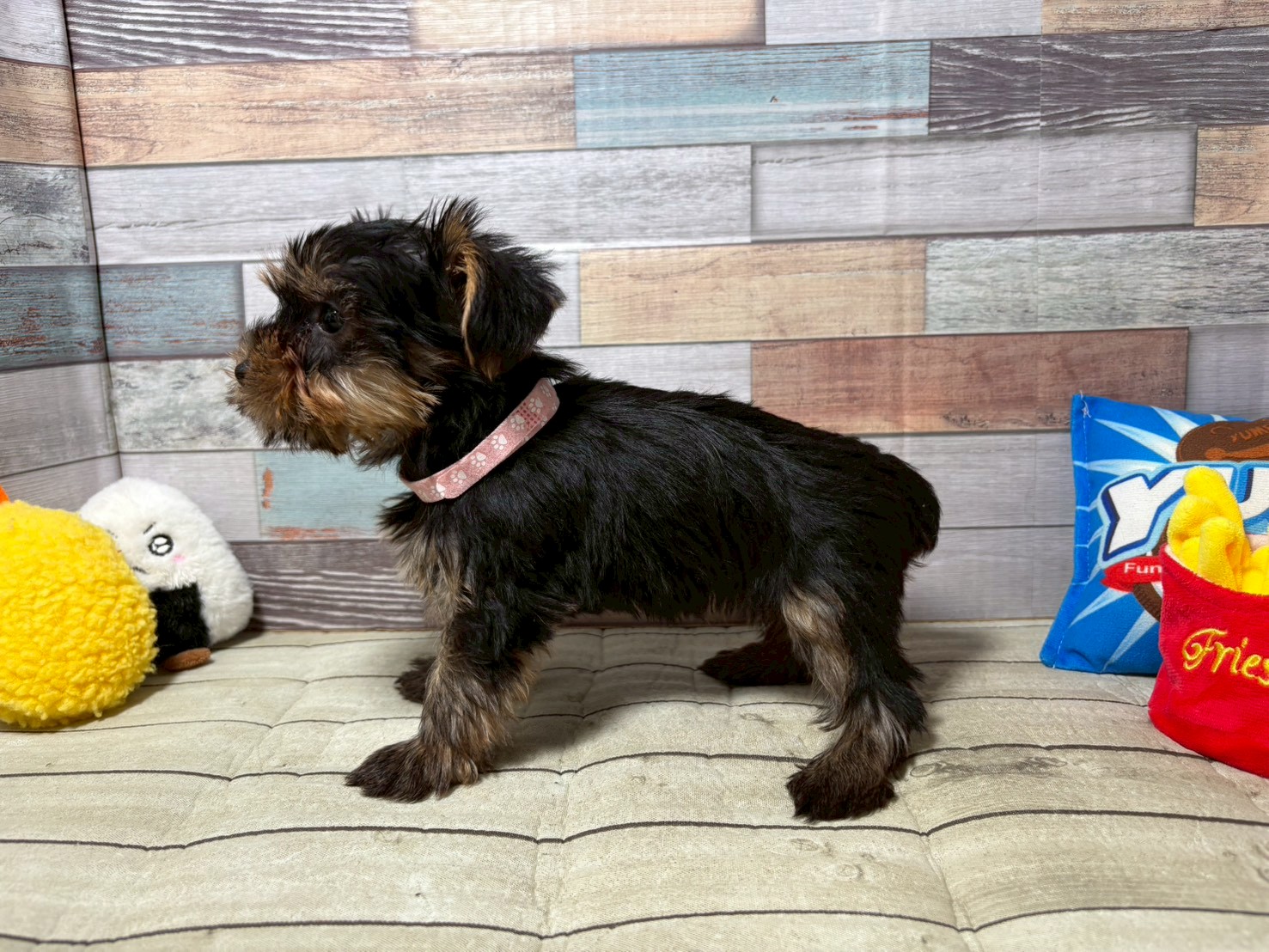 赤ちゃん写真3-2