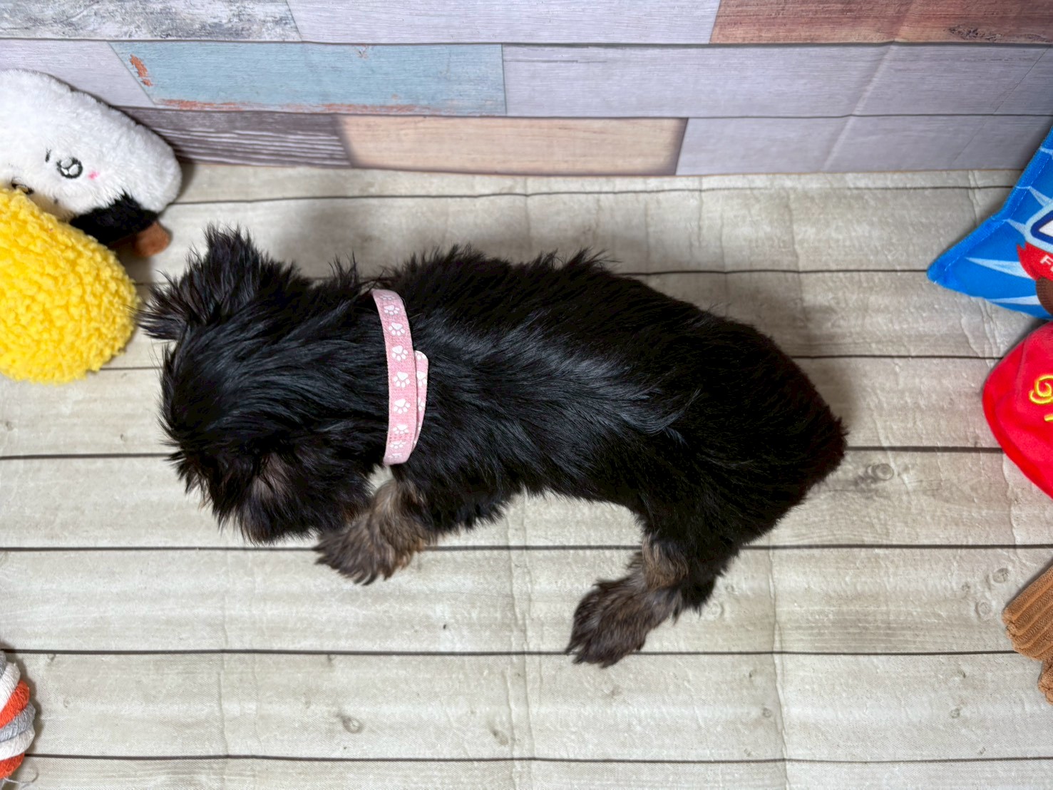 赤ちゃん写真3-3