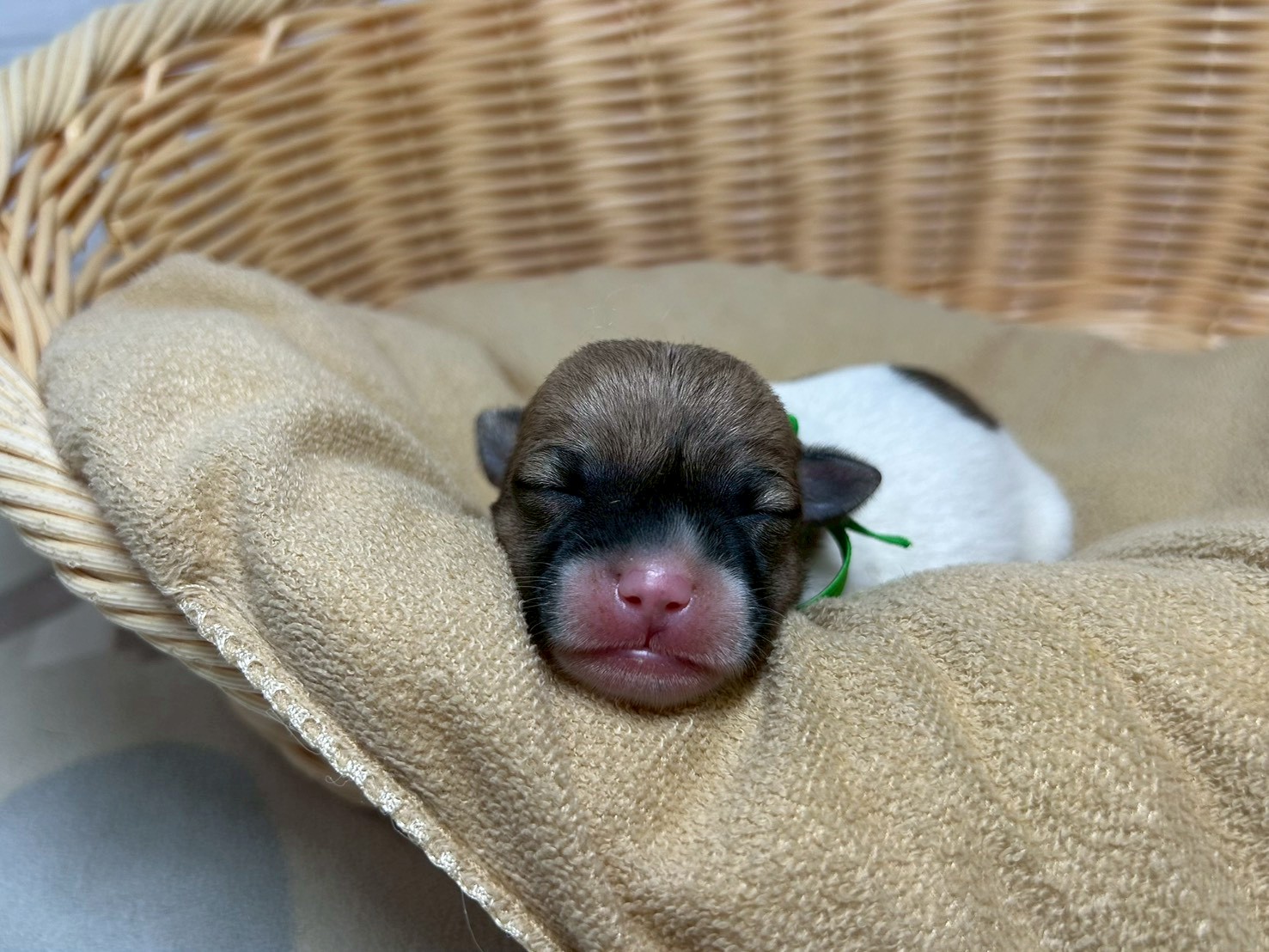 赤ちゃん写真1-1