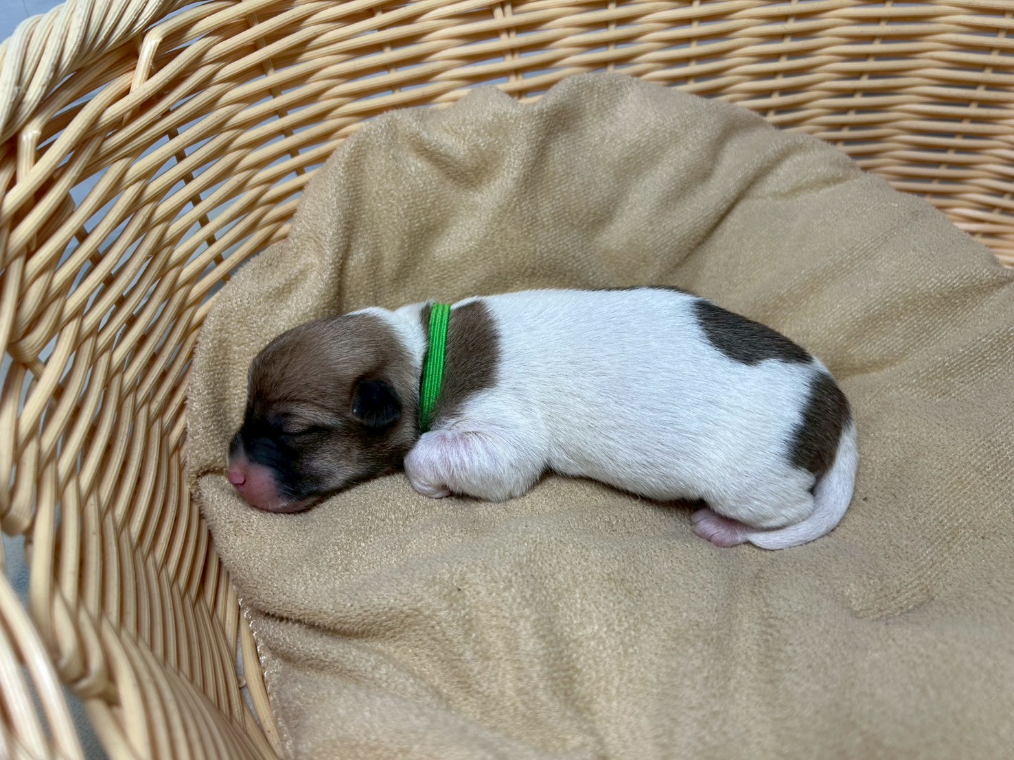 赤ちゃん写真1-2