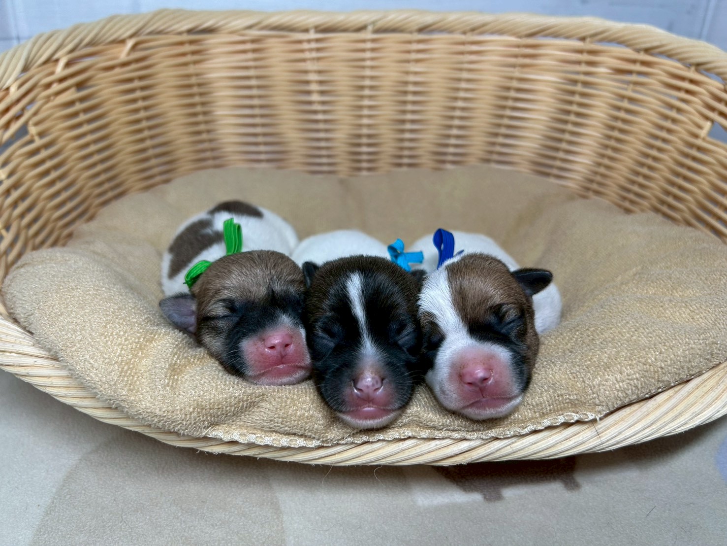 赤ちゃん写真1-3